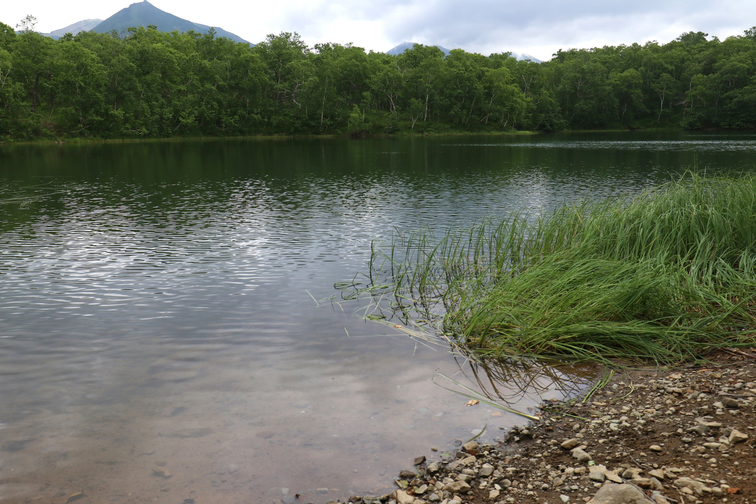 Камчатка и о. Парамушир. Июль 2024. Путешественник-фотограф из Санкт-Петербурга Татьяна Свистулина