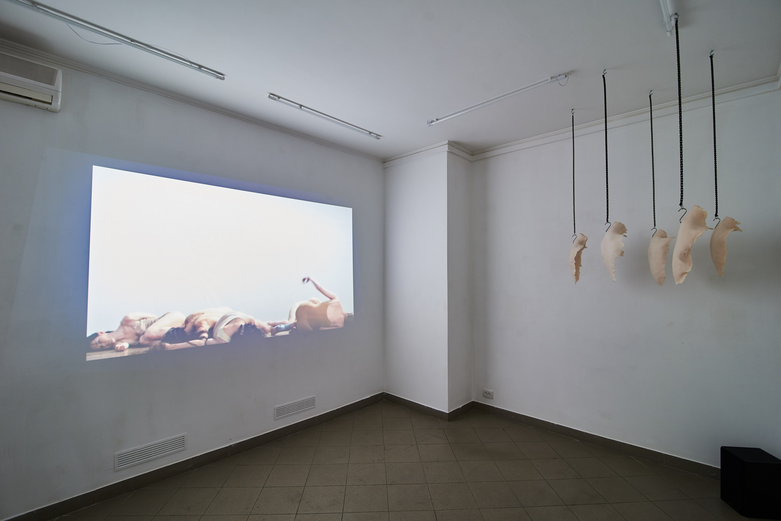 THE ALIENATED BODY. Ilmira Bolotyan — Interdisciplinary Artist and Curator