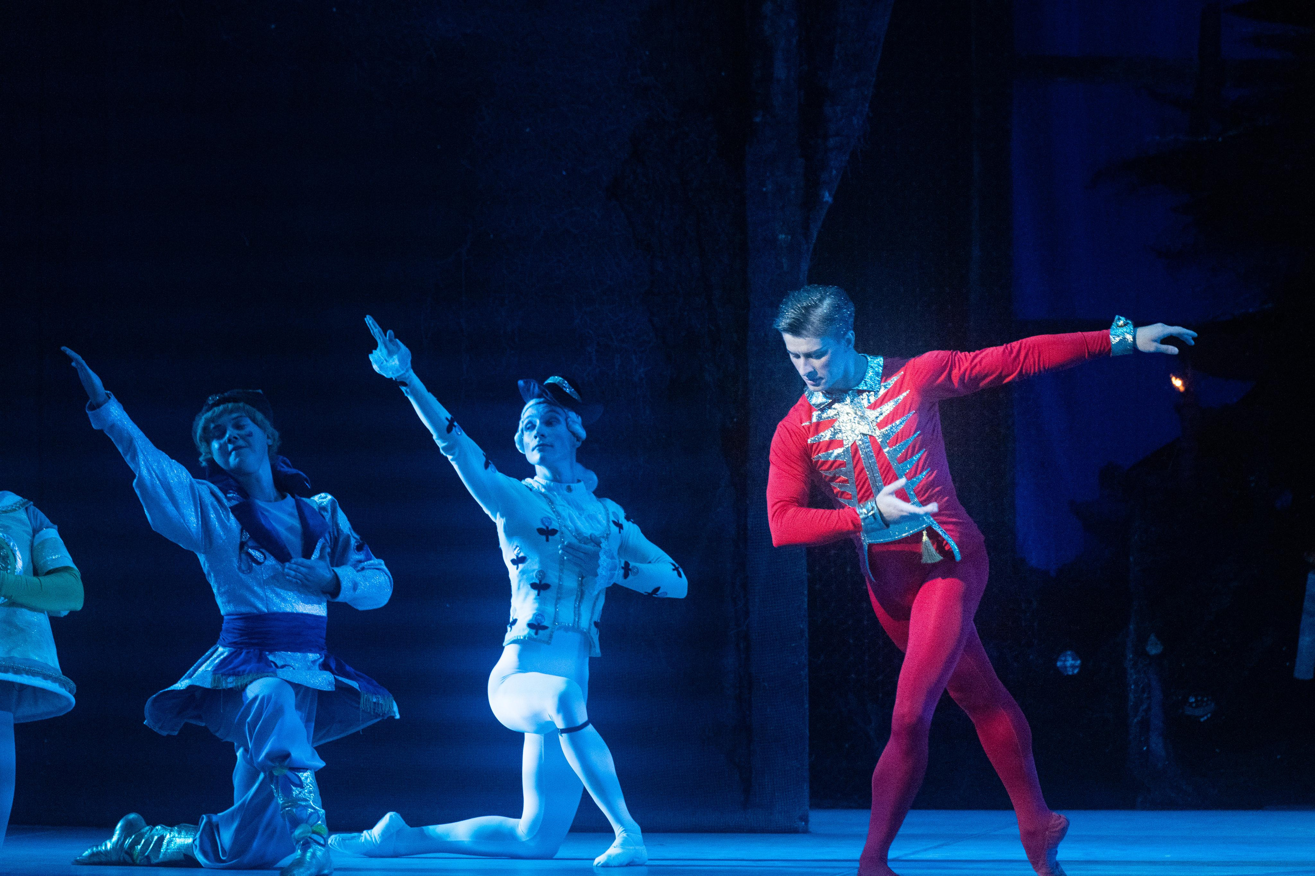 Балет «Щелкунчик». Арт-фотограф в Краснодаре