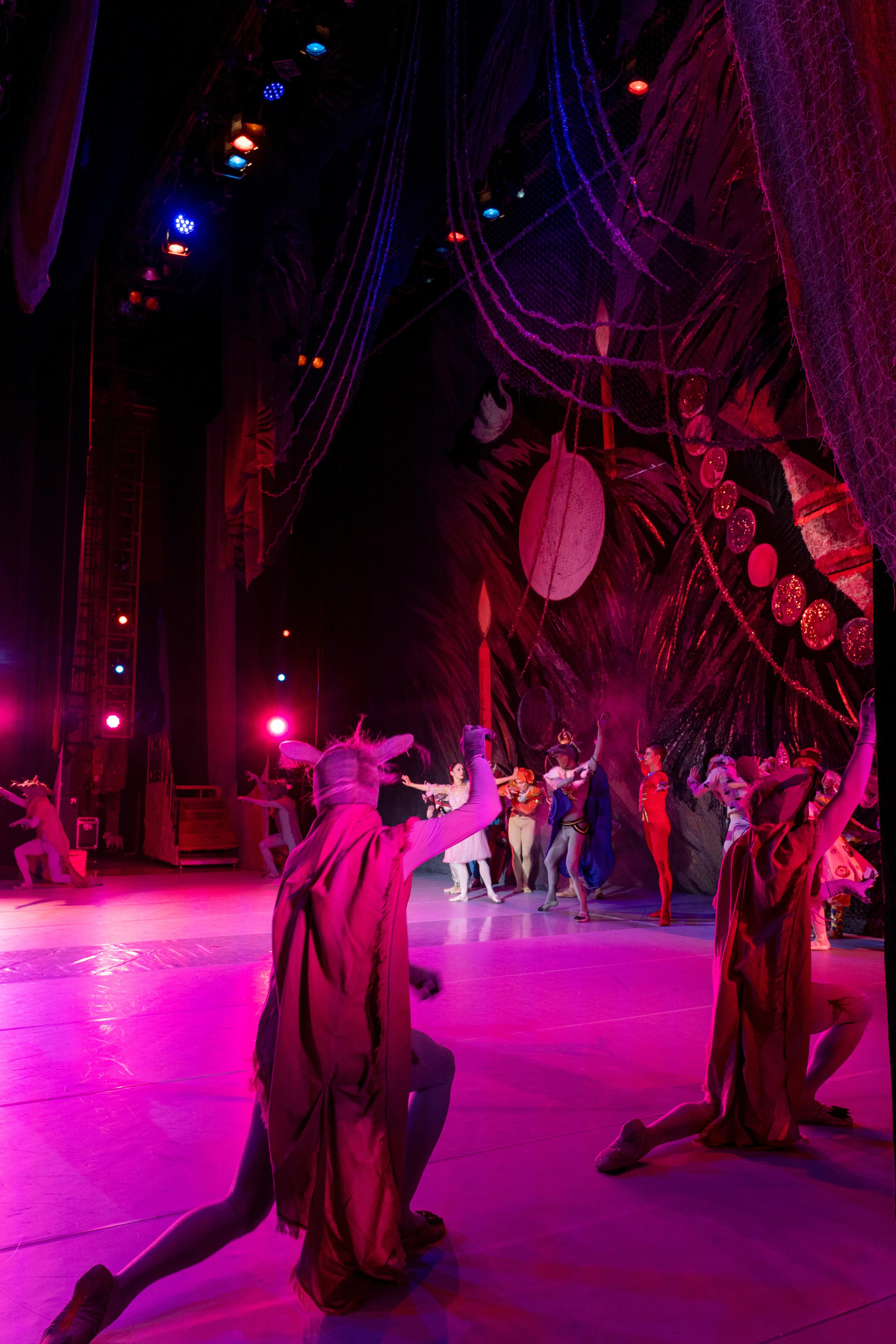 Балет «Щелкунчик». Арт-фотограф в Краснодаре