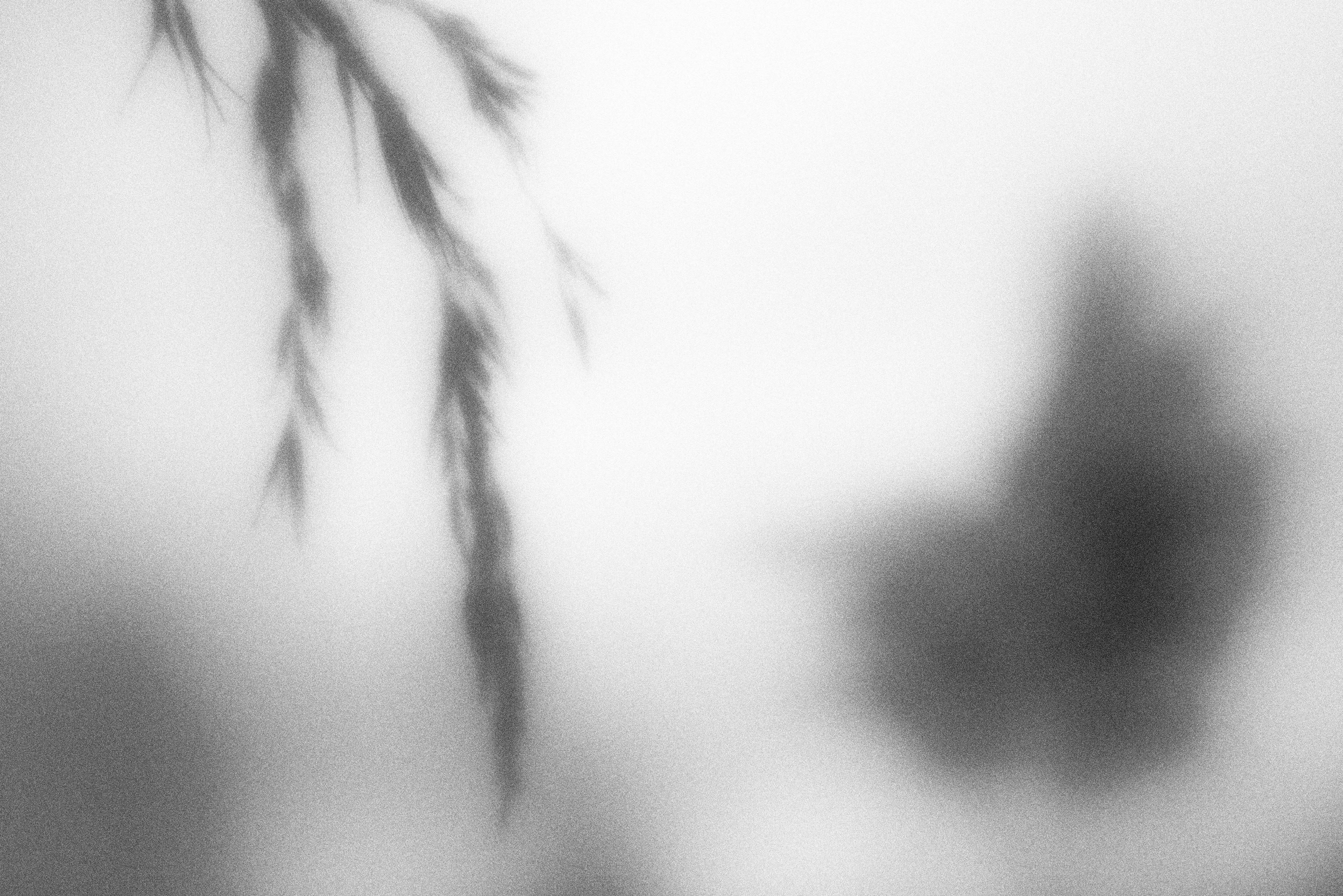 Внутривенные сны (2023)