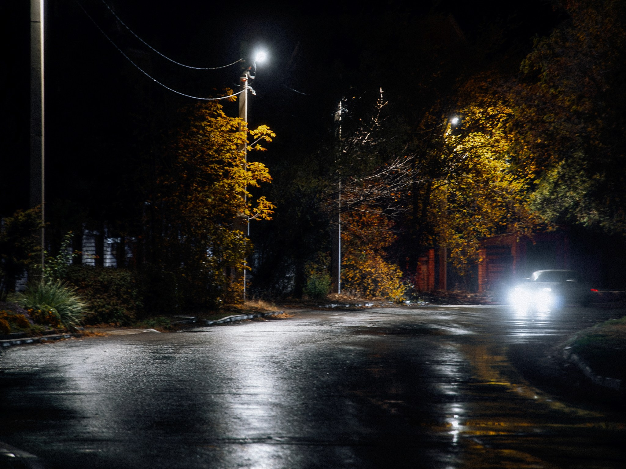 No title. Андрей Сливенко. Свадебный фотограф и видеограф в Волгодонске и Ростове-на-Дону