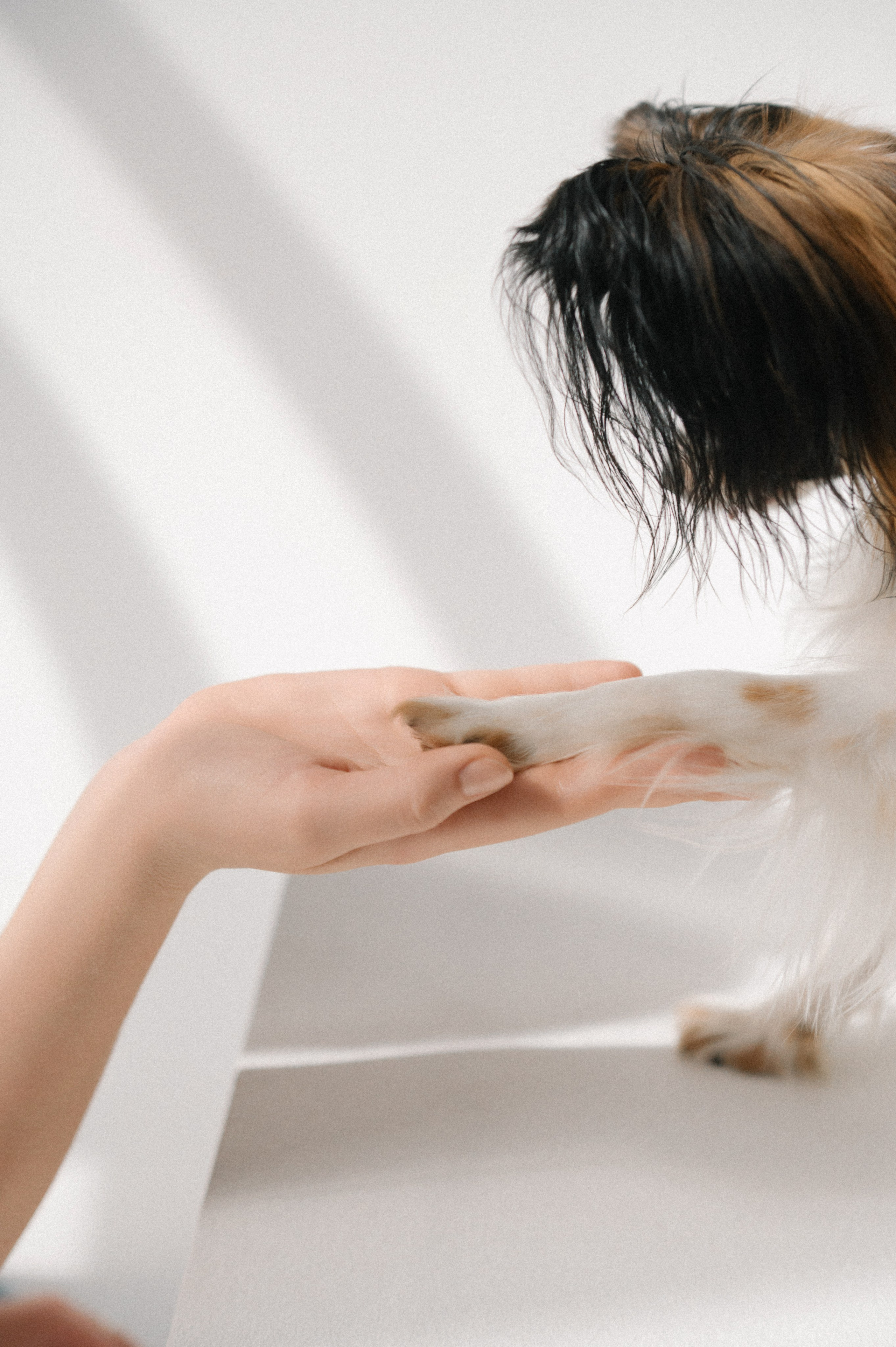 Наташа, Леша и Черри (Королев, 2025). Анна Пушина, фотограф, Москва, Королев, Пушкино