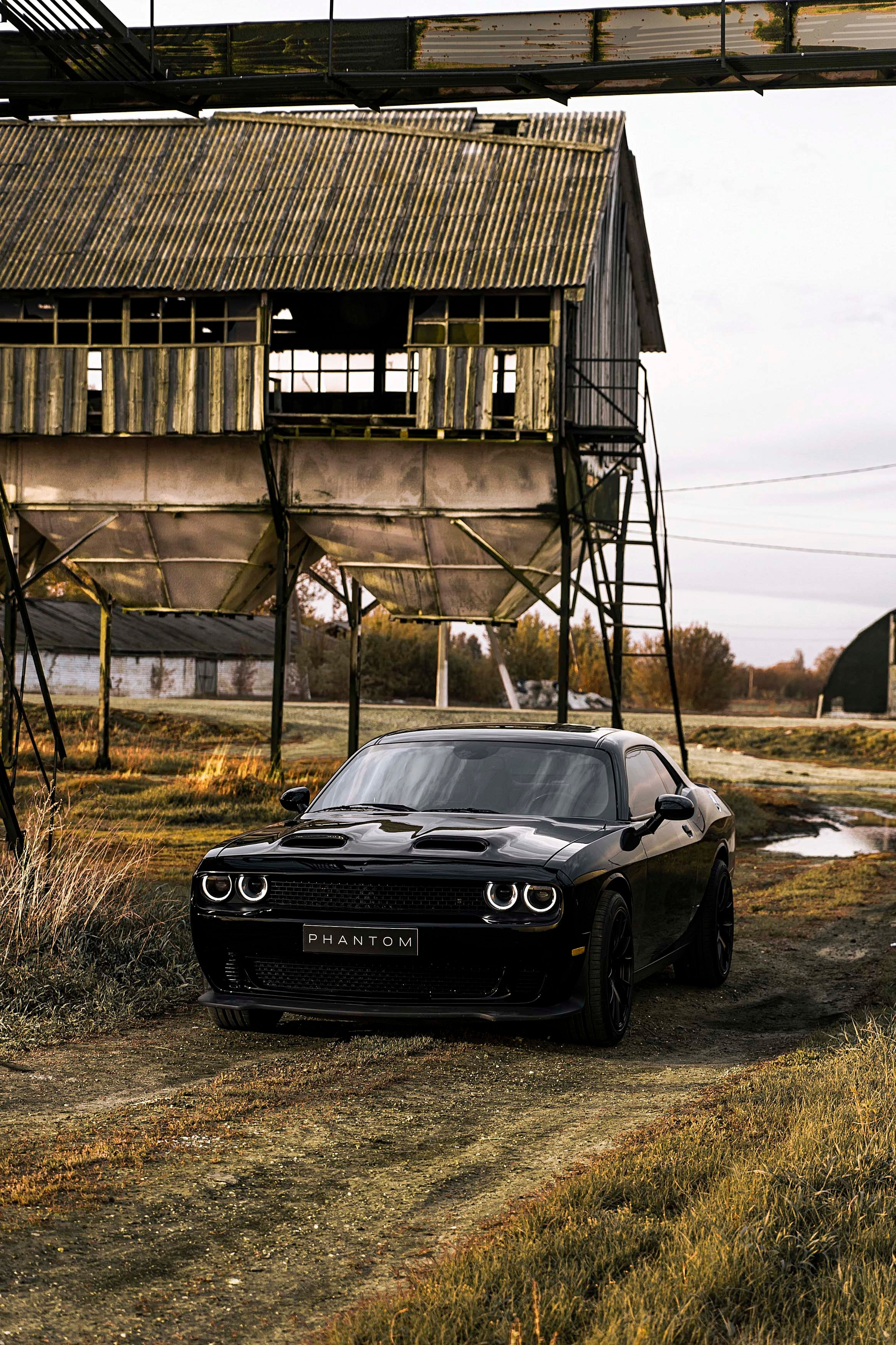 Dodge Challenger. Фотограф Казань