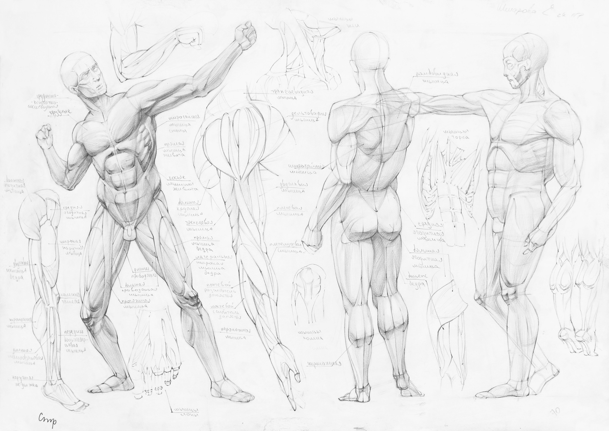 Работы студентов. Главная