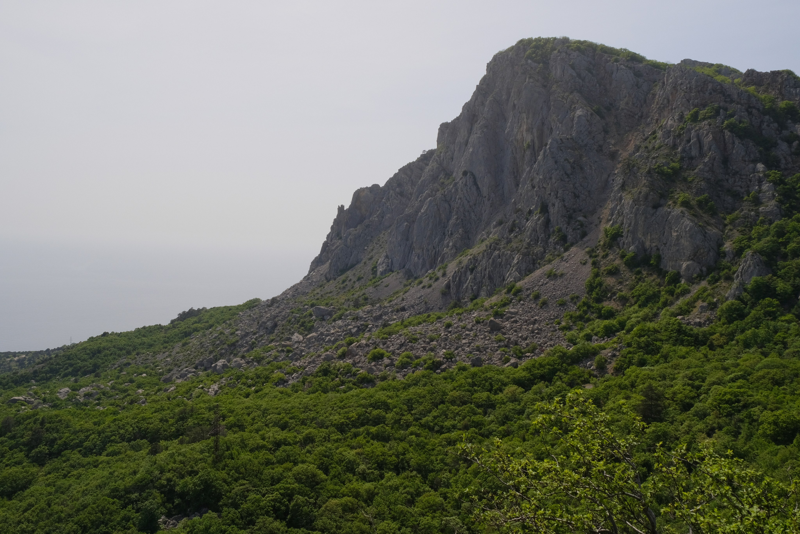 Топ локаций для фотосессии в Крыму - советы от фотографа. Профессиональная фотосъемка в Крыму. Натуральные эмоции и живые кадры. Забронируйте дату прямо сейчас!