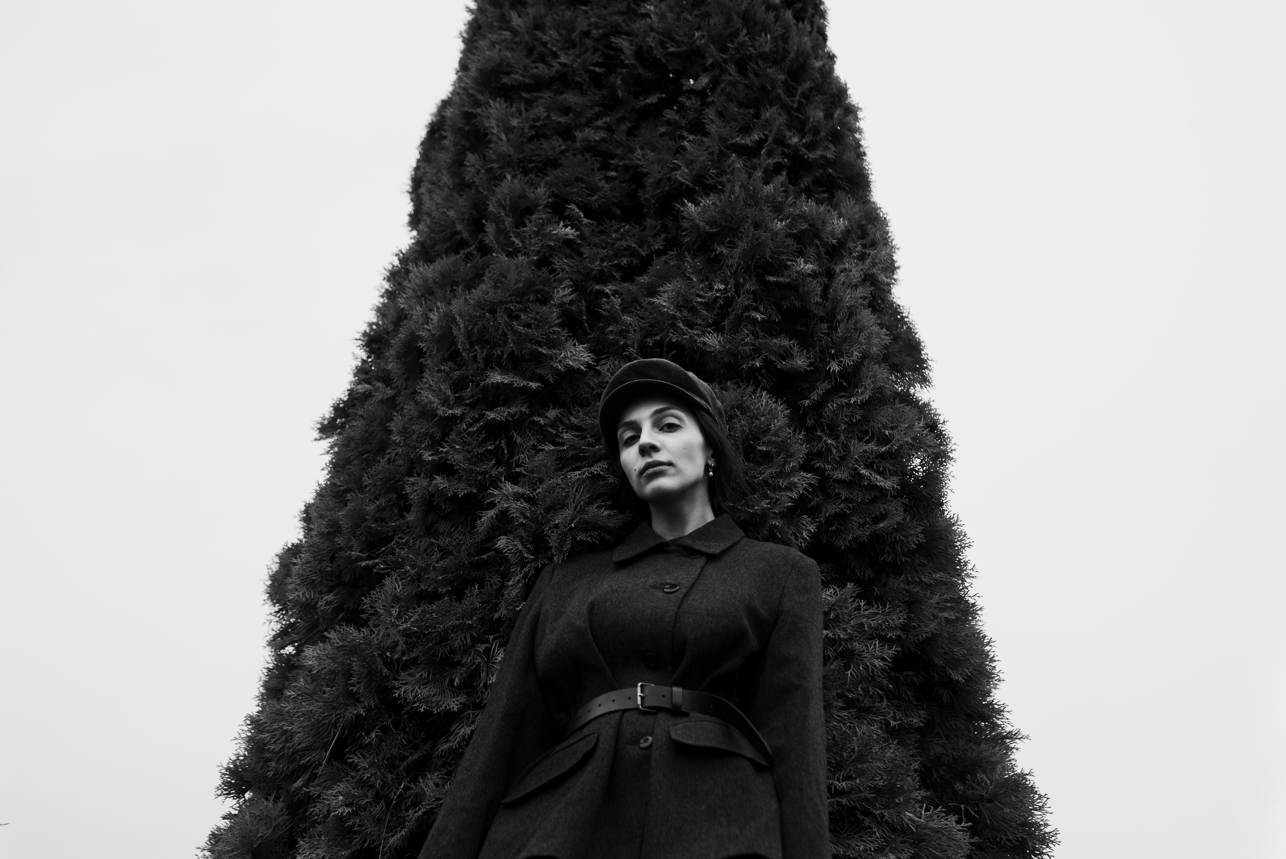 Алла (дворец Бельведер). Непарадное в парадных