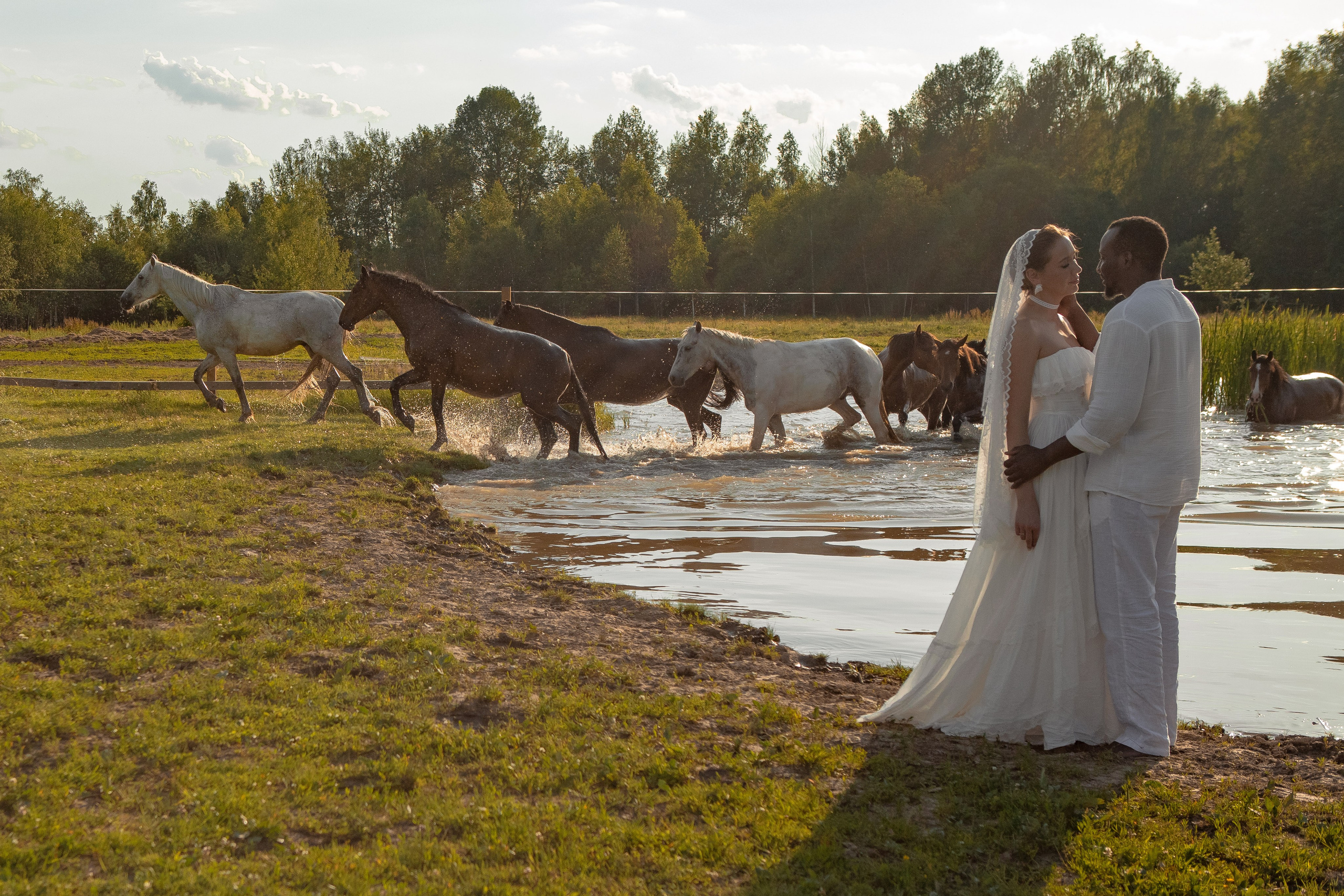Свадебная фотосессия в Москве и Подмосковье. Свадебная фотосессия с лошадьми. Необычная фотосессия. Идеи для фотосъемки. Фотосессия на улице. Лучший фотограф Москвы.