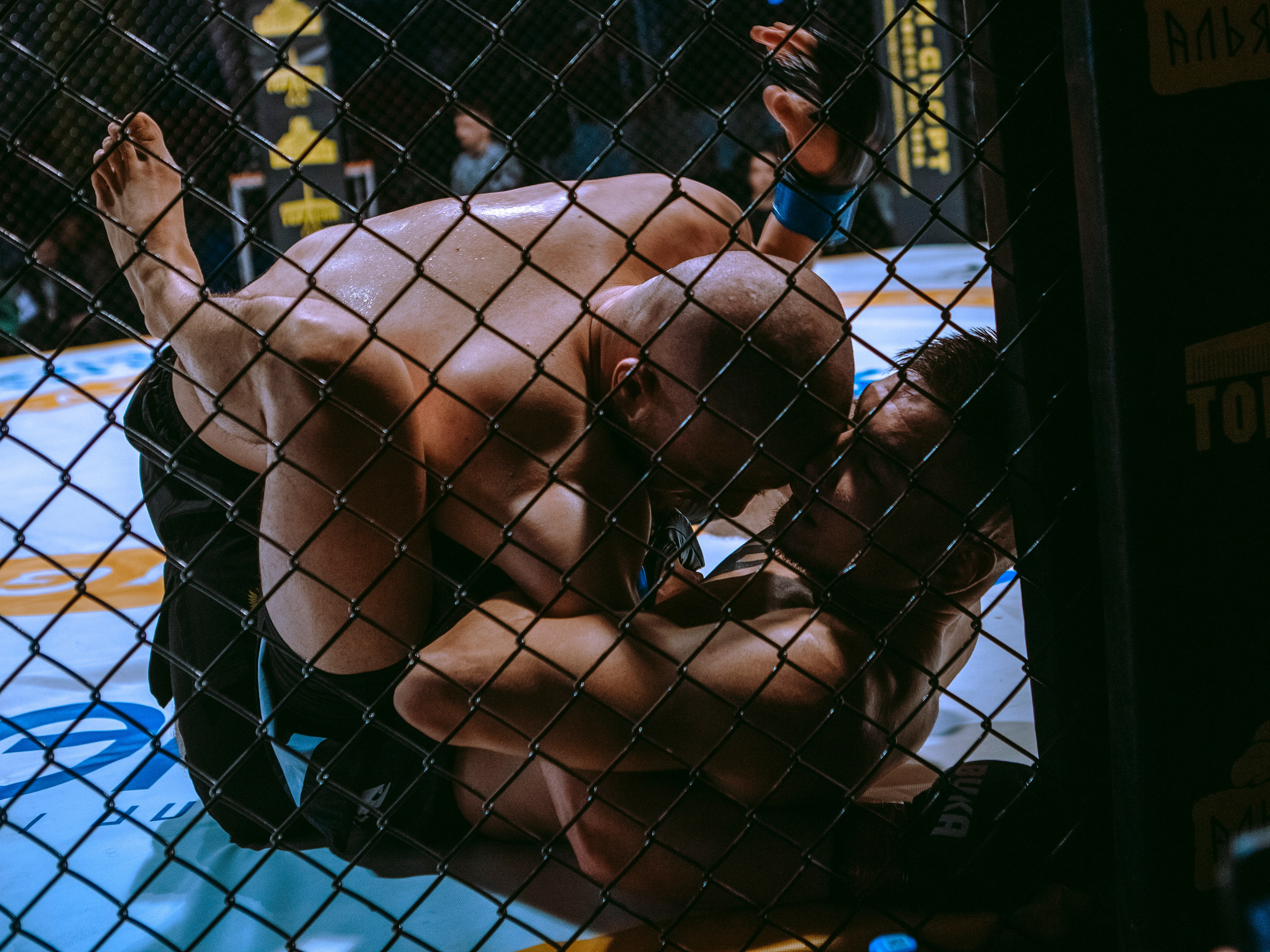 SFL 17 | Siberian Fighting League. Портретный фотограф в Москве Дарья Цезария