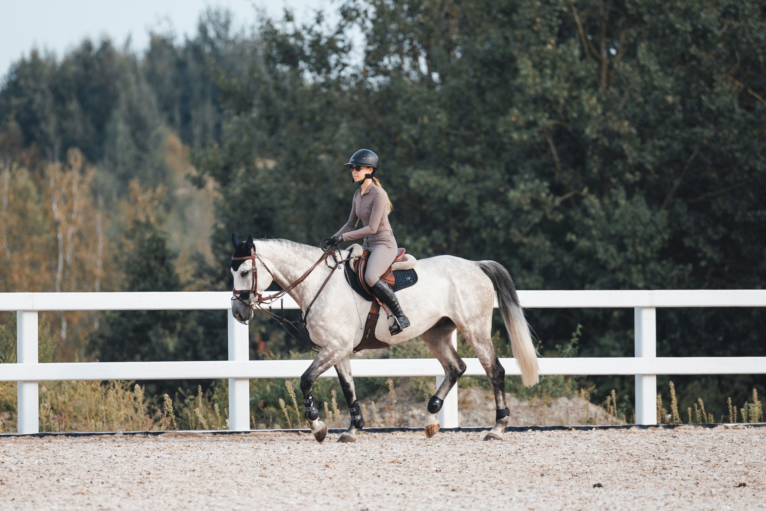 Конкур. Фотограф-анималист Анна Маринич