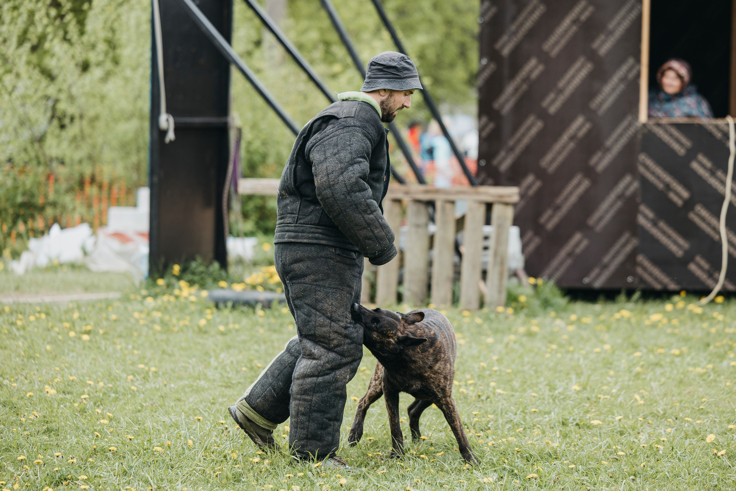 26.05.25 г. Пушкин квалификационные соревнования. Фотограф-анималист Анна Маринич