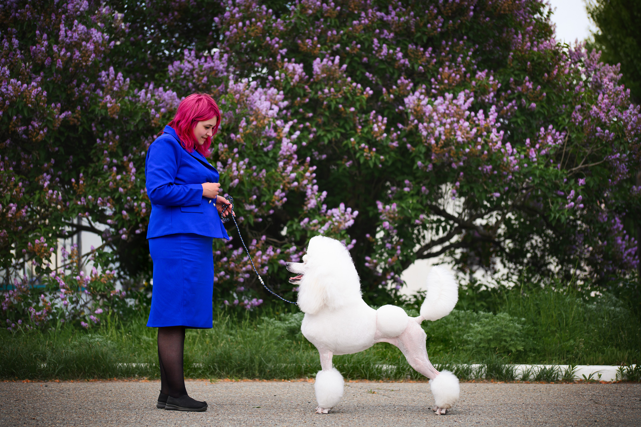 Собаки. FASHION ФОТОГРАФ КАЗАНЬ