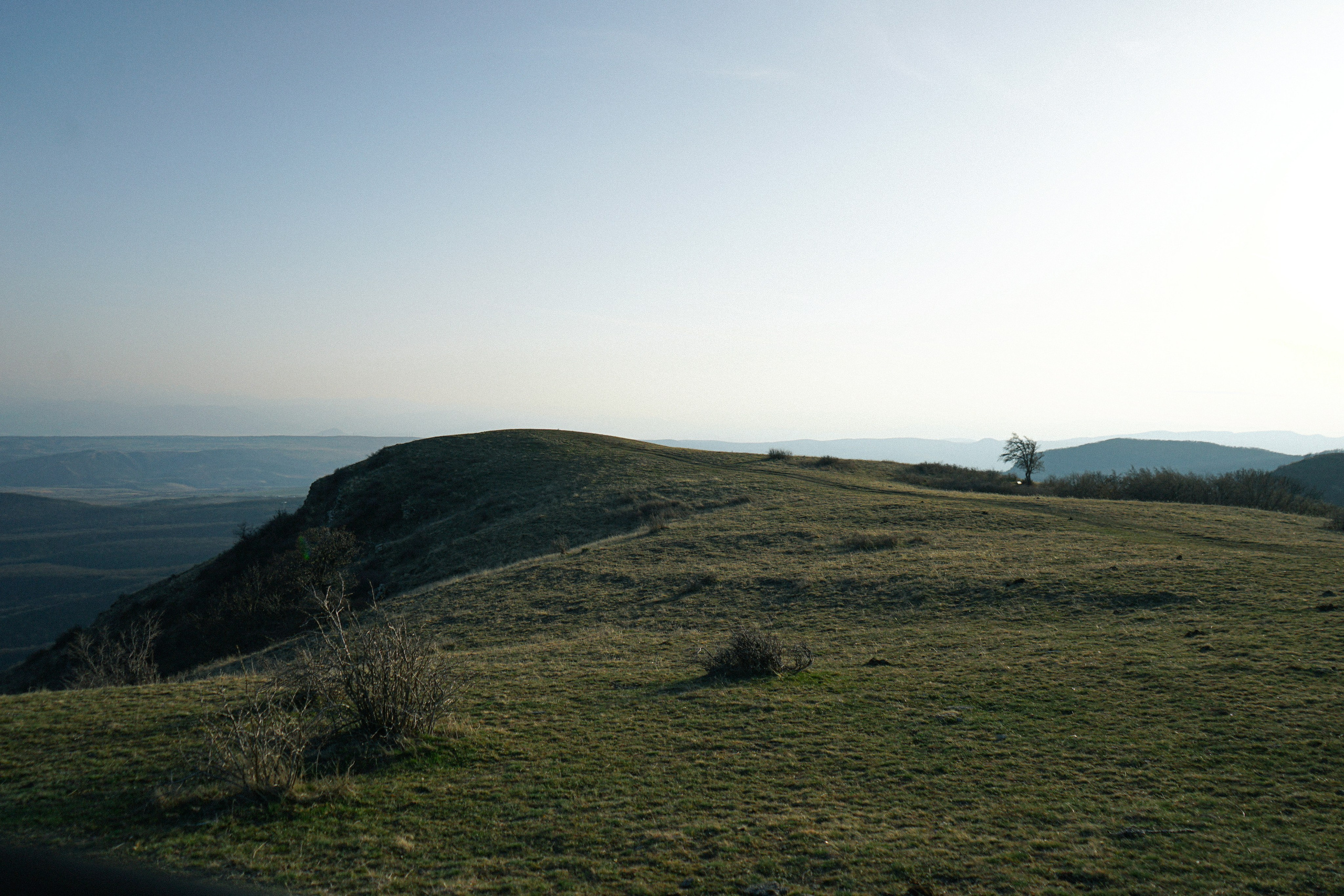 Wedding photographer in Georgia. Photographer in Georgia UAE Russia Nekit Fox