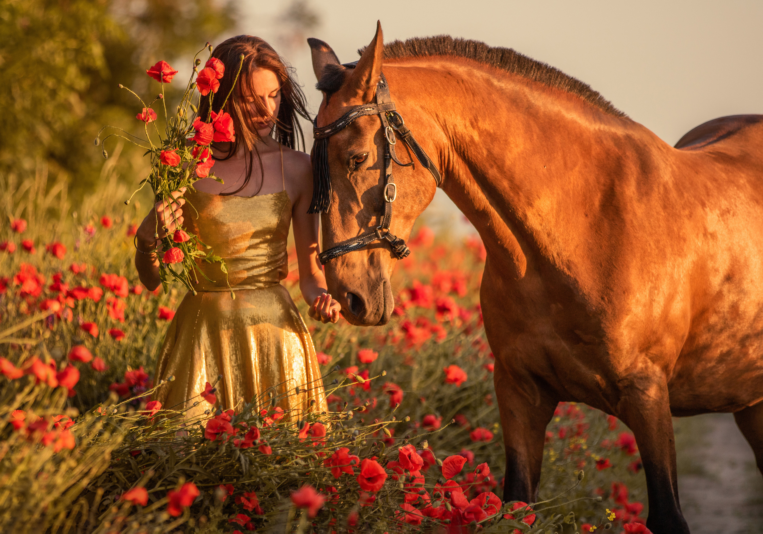 Маковые поля. Конный и театральный фотограф Анапа