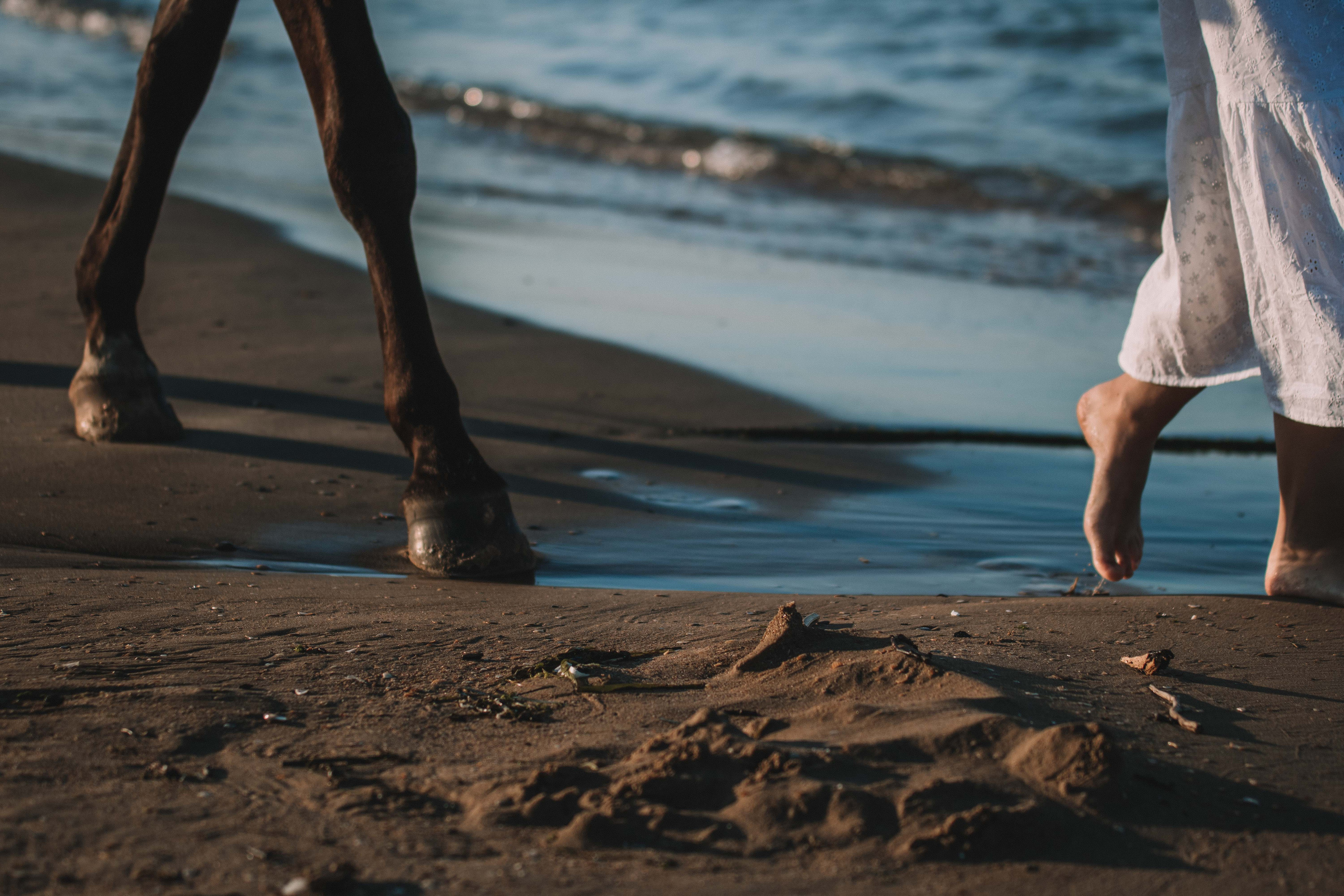 Море. Конный и театральный фотограф Анапа