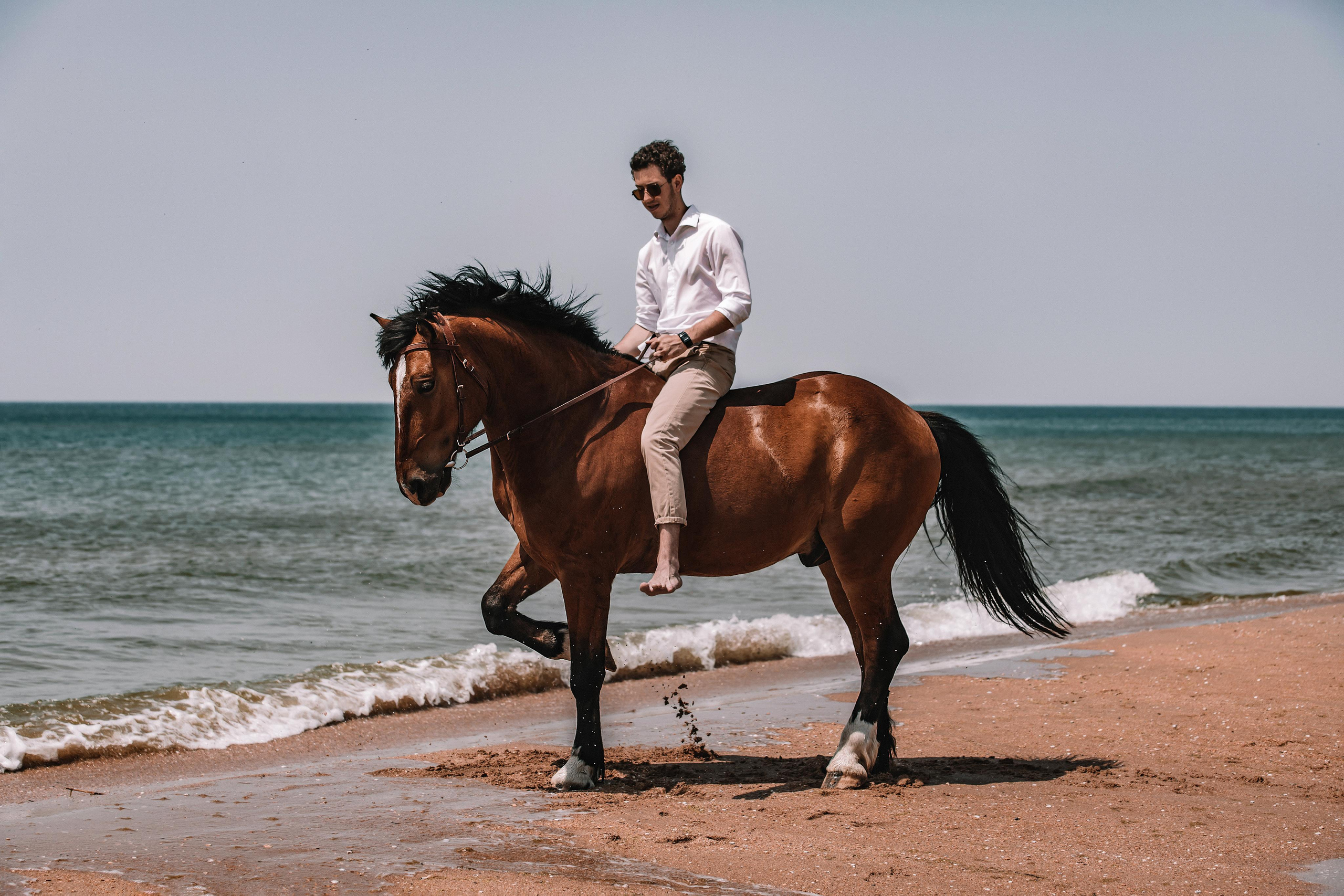 Love story. Конный и театральный фотограф Анапа