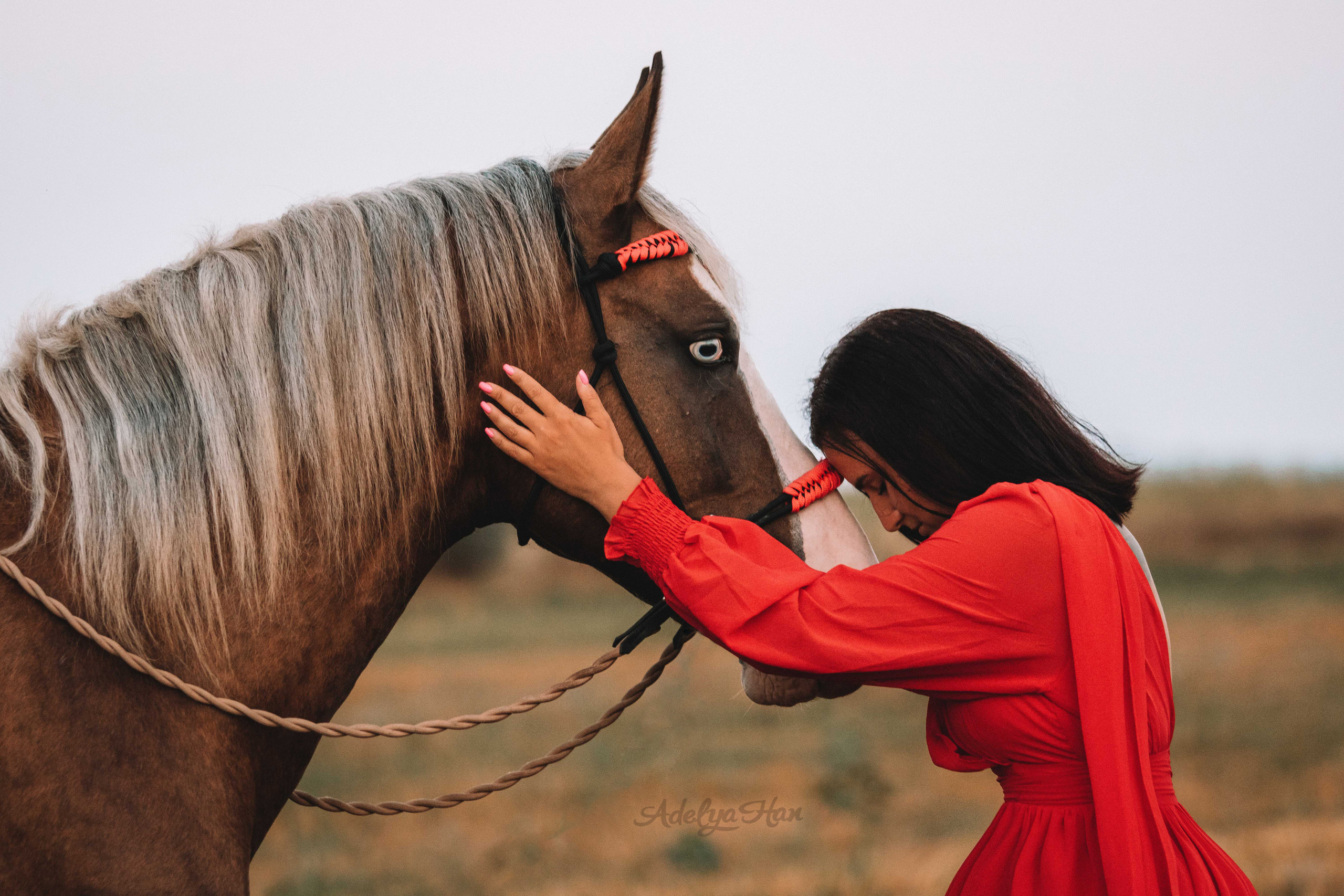 Кантри. Конный и театральный фотограф Анапа