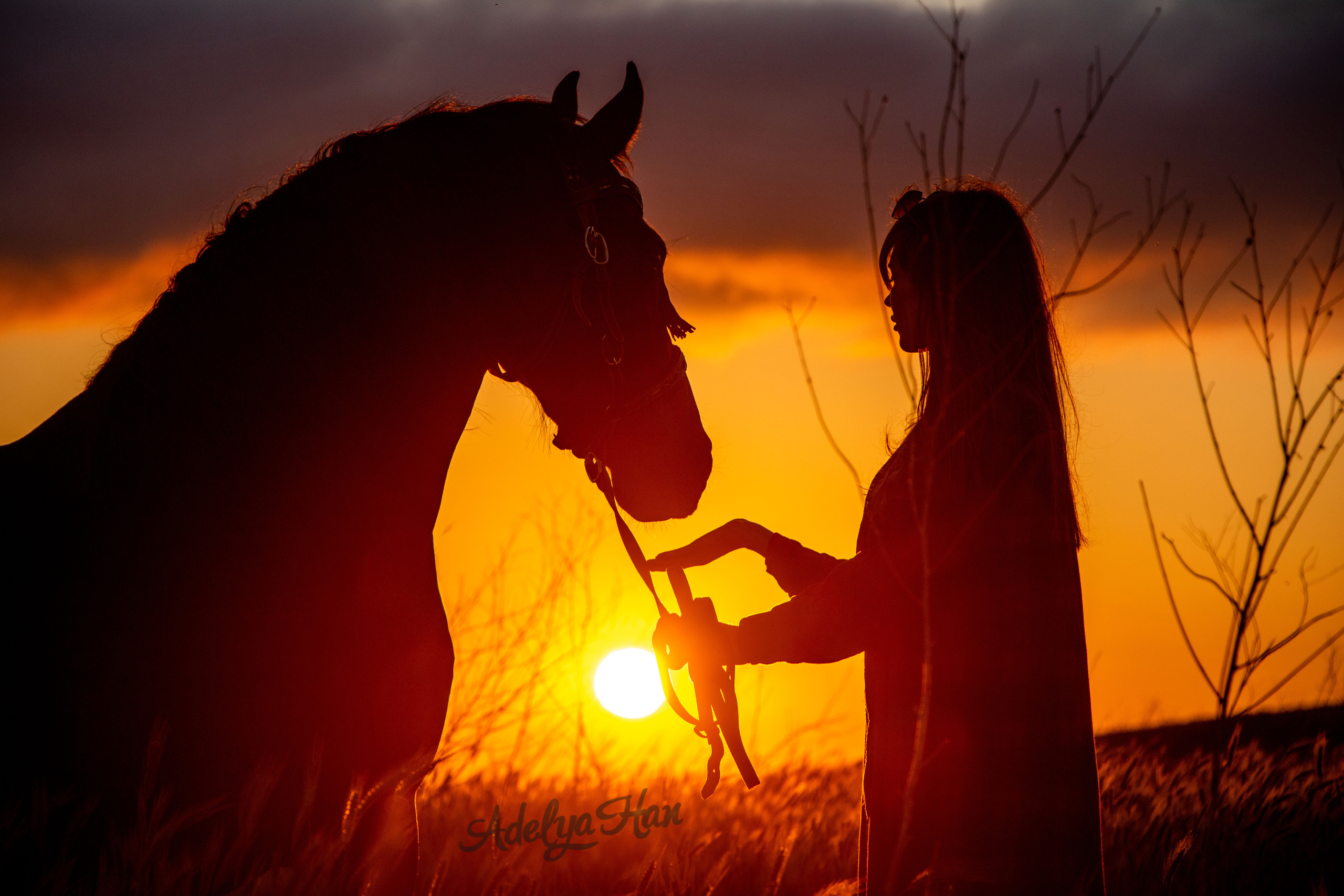 Лошади. Конный и театральный фотограф Анапа