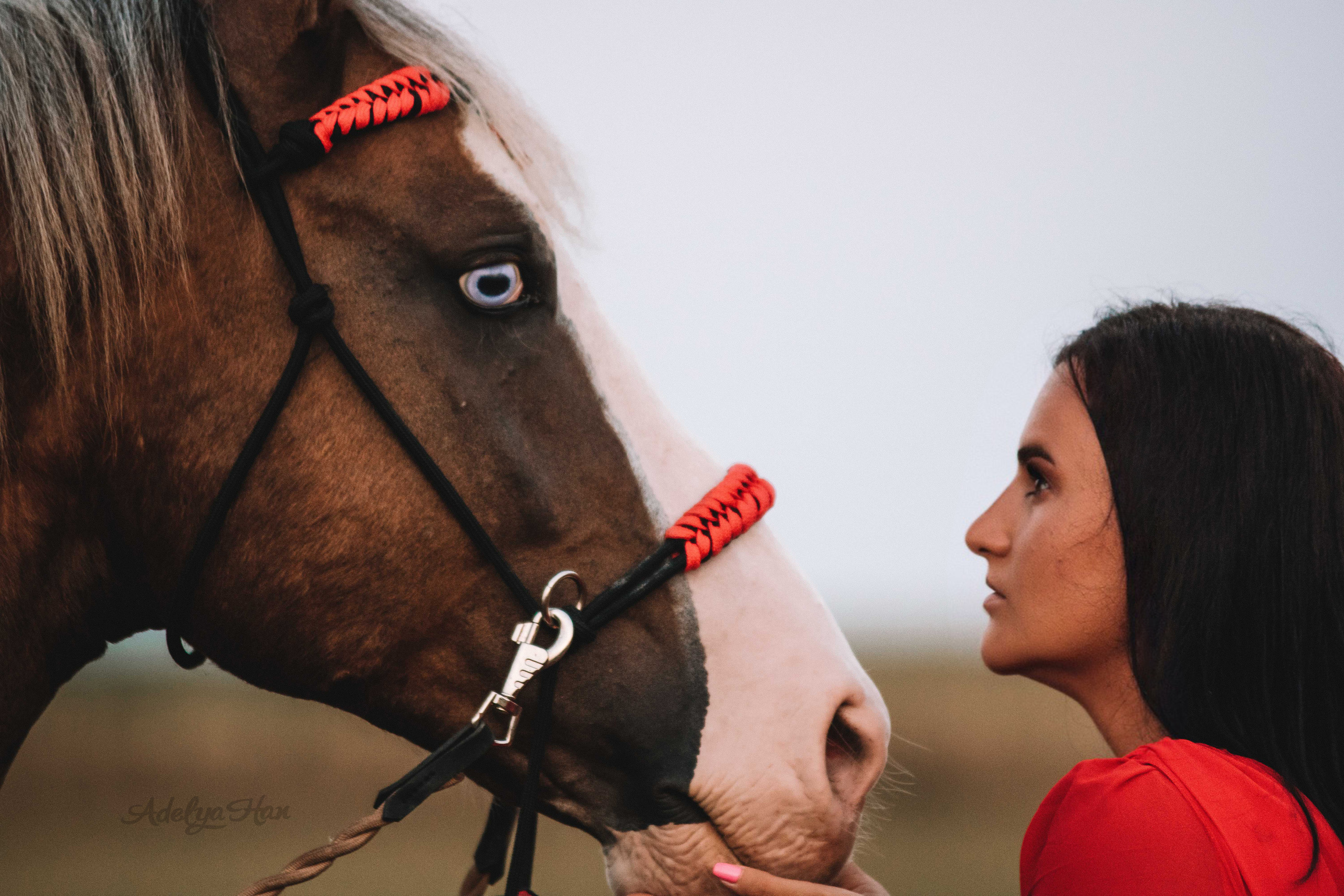 Кантри. Конный и театральный фотограф Анапа