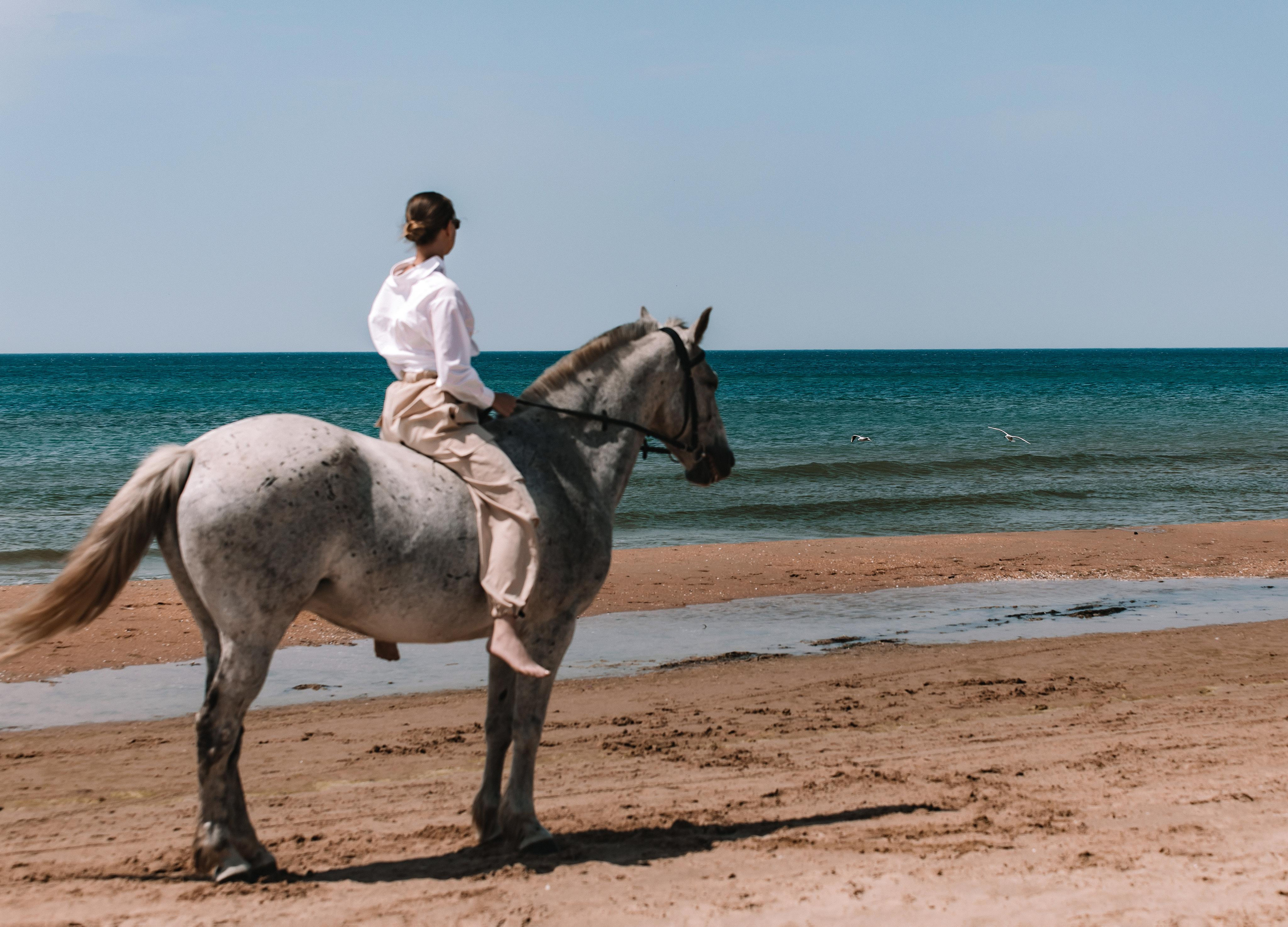 Love story. Конный и театральный фотограф Анапа