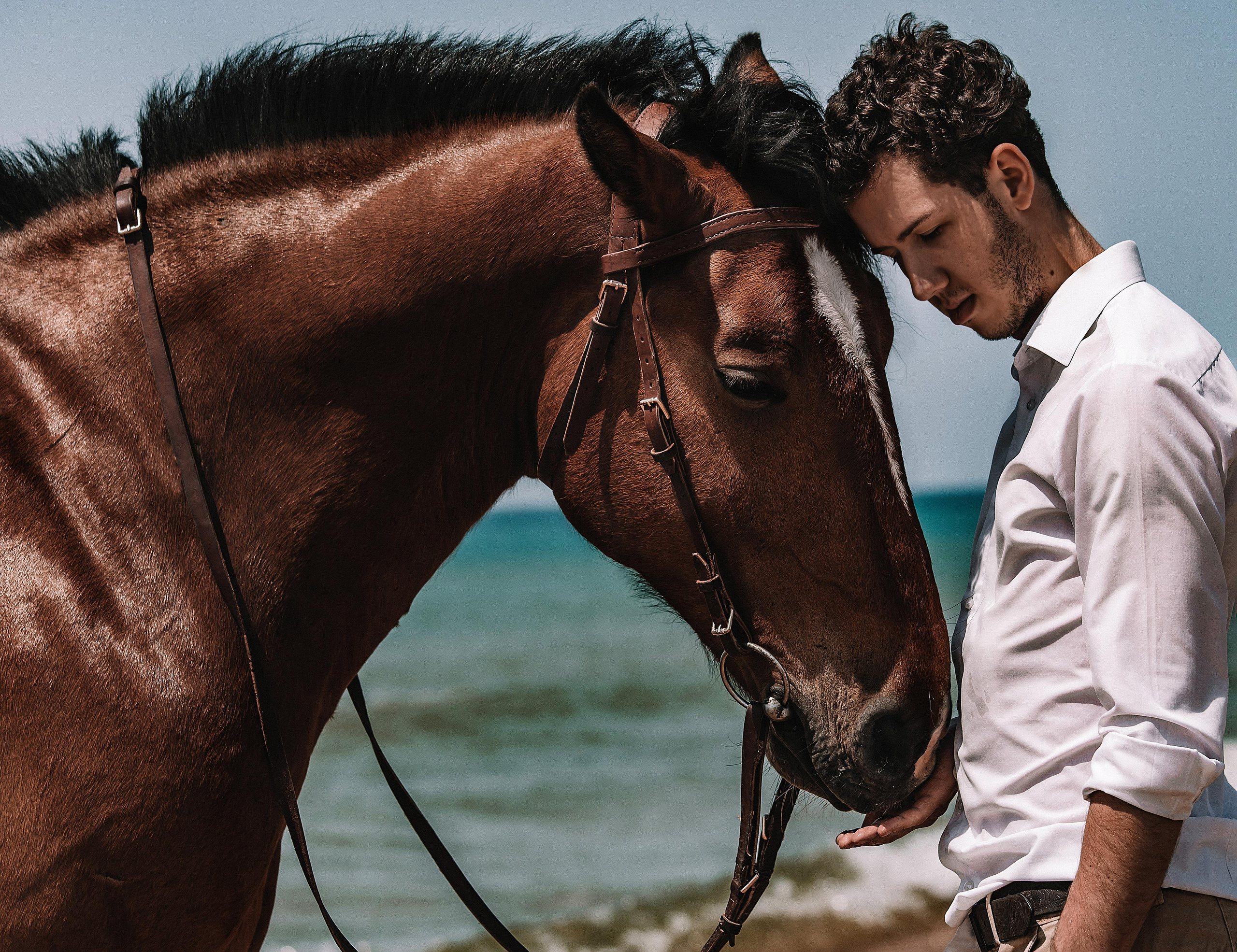 Love story. Конный и театральный фотограф Анапа