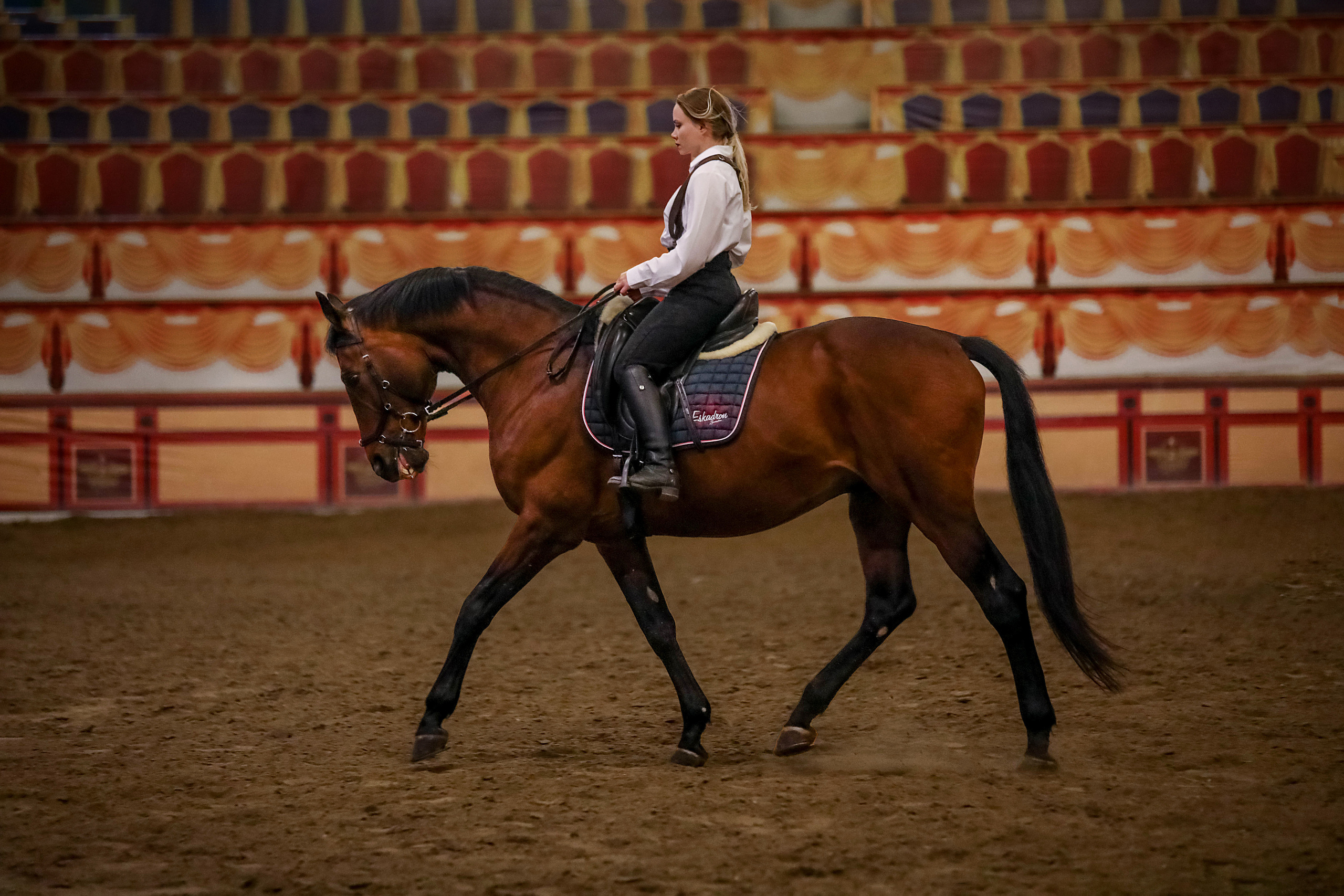 Спортивный стиль. Конный и театральный фотограф Анапа