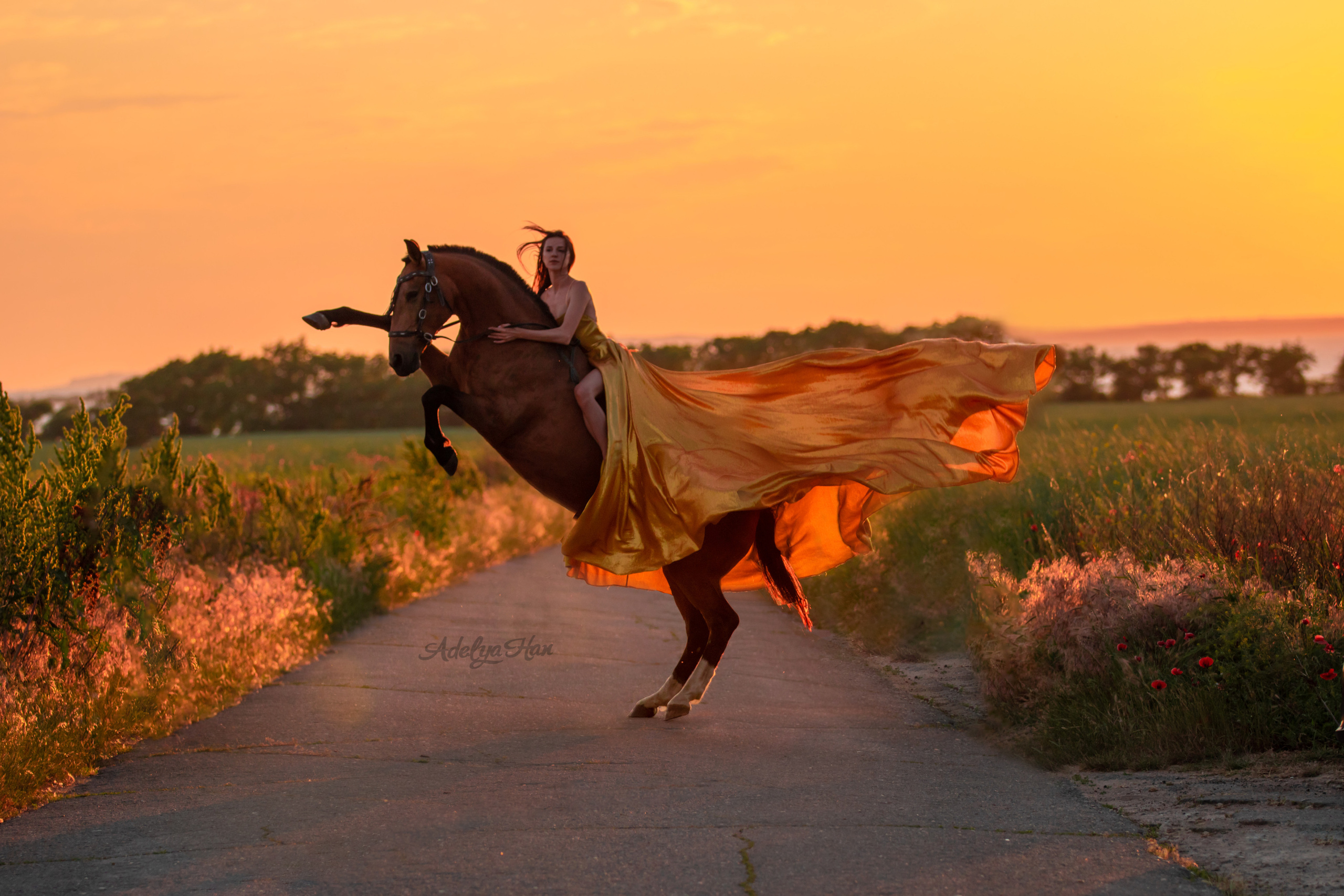 Маковые поля. Конный и театральный фотограф Анапа