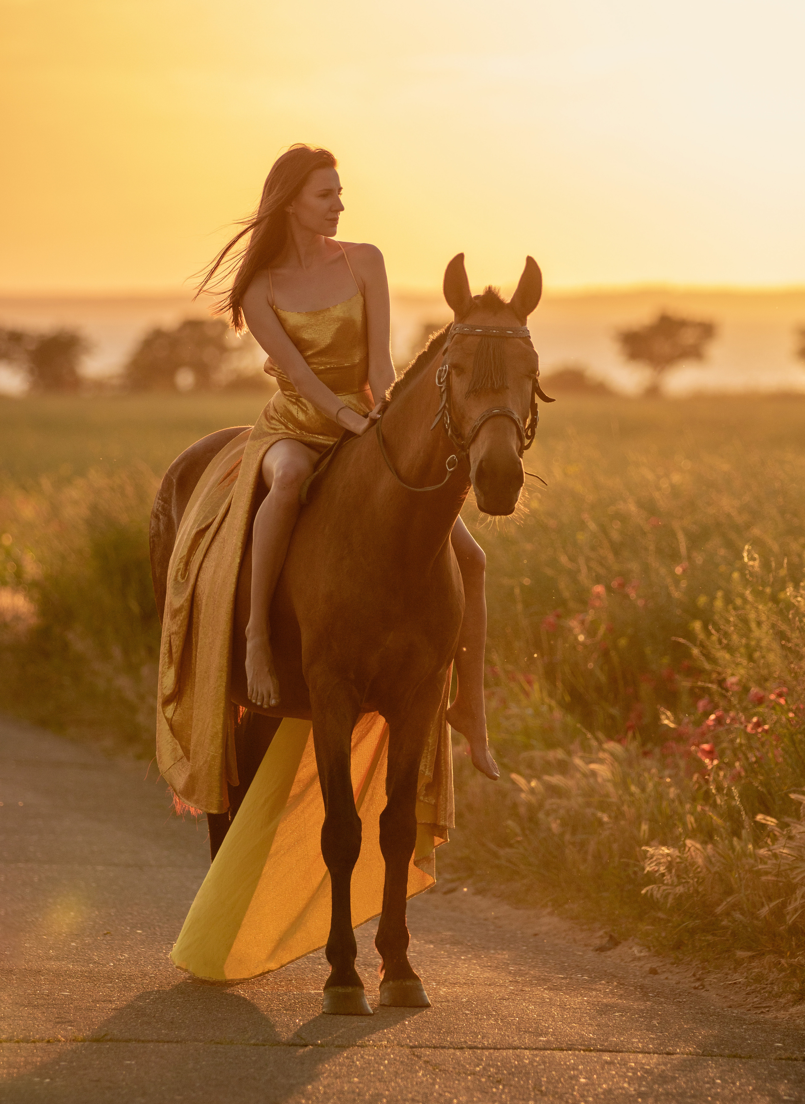 Маковые поля. Конный и театральный фотограф Анапа