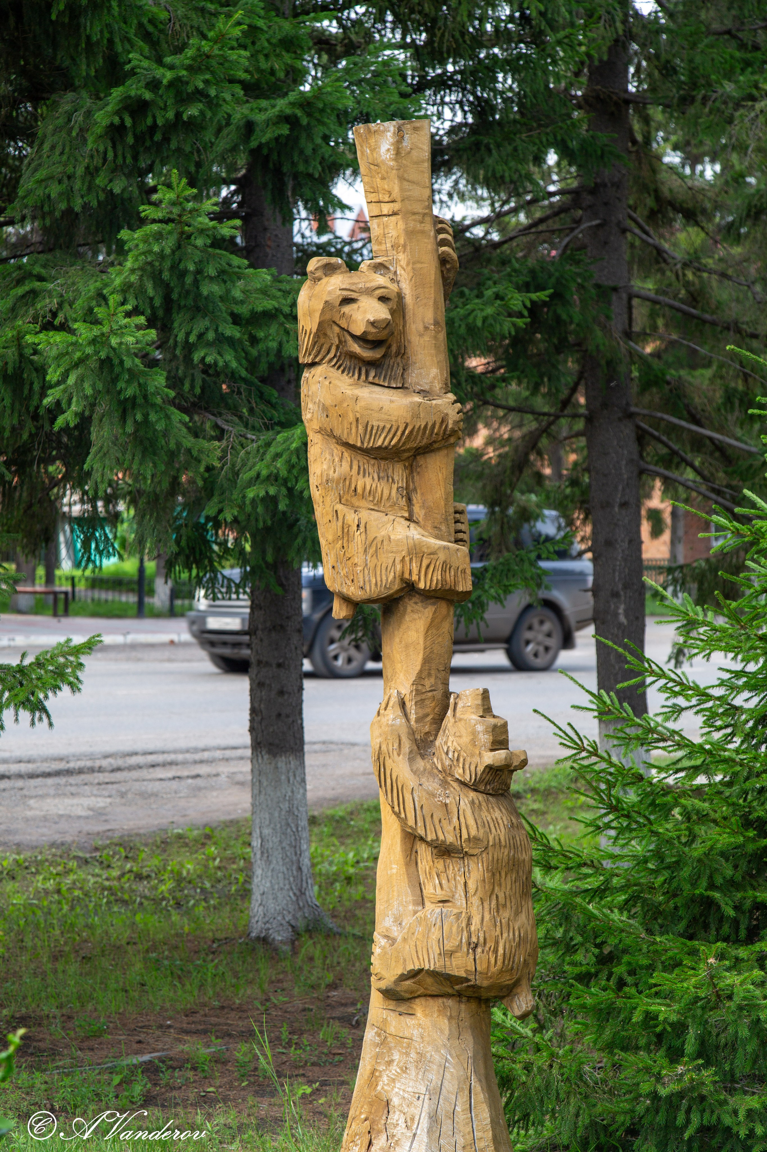 Калачинск 07.07.2024. Фотограф Омск | Александр Вандеров