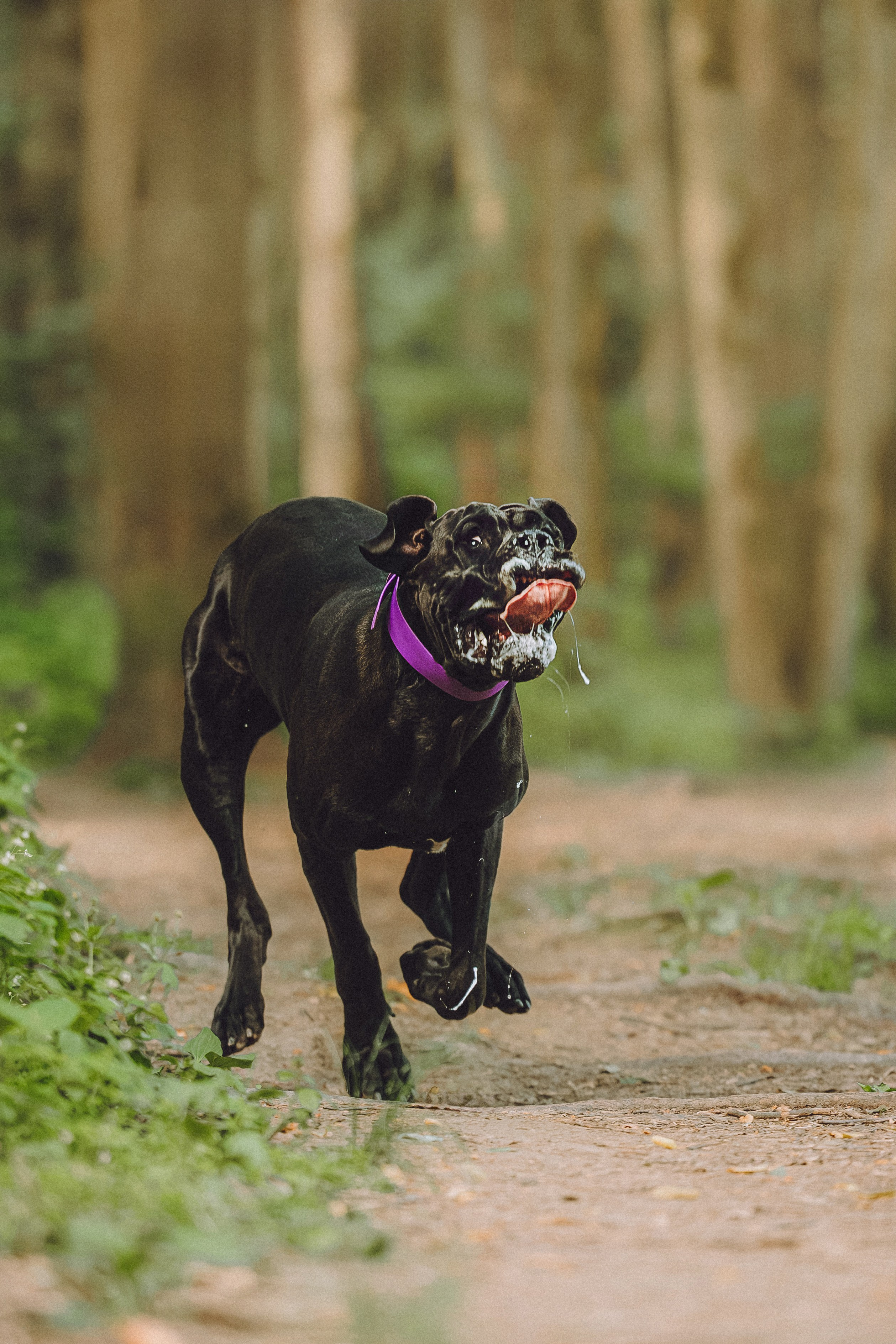 Катя, Андрей, Гектор, Ричи, Тортик и Трой