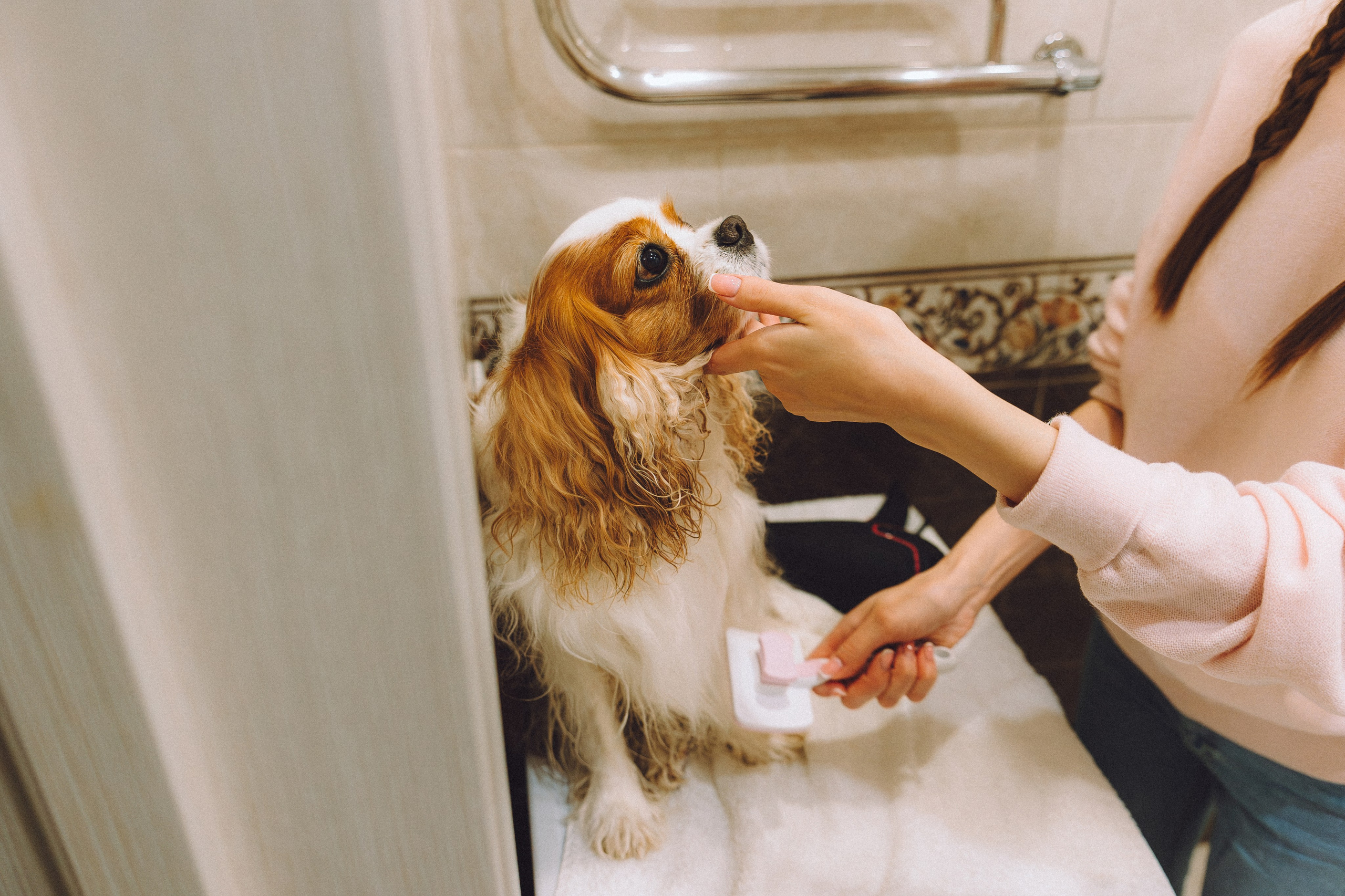 Наташа и Вики