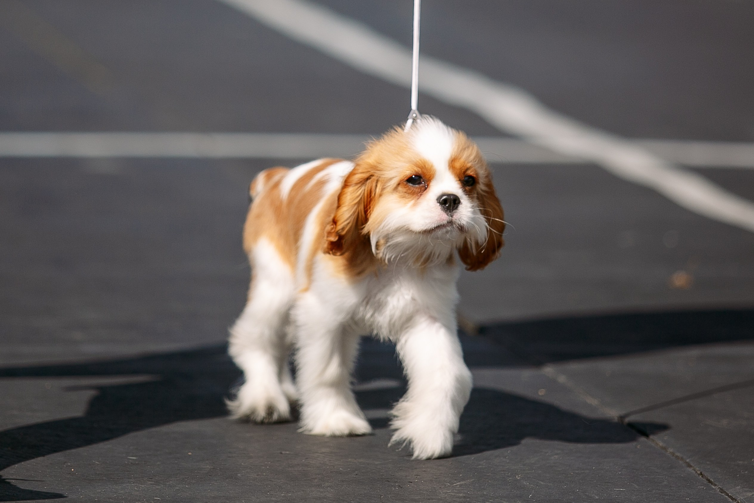 Окунулась вновь в атмосферу выставки…. Школьный фотограф в Туле Светлана Привезенцева