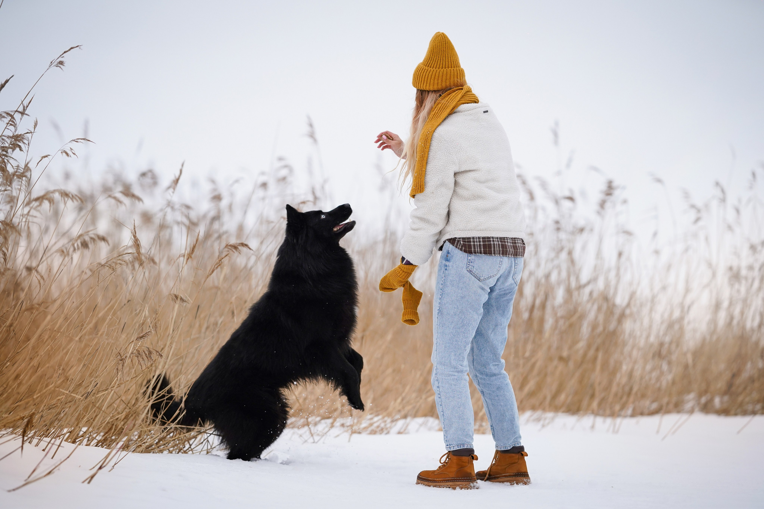 Лора Джанго и Хэппи. Фотограф-анималист в Санкт-Петербурге Яна Мартынова