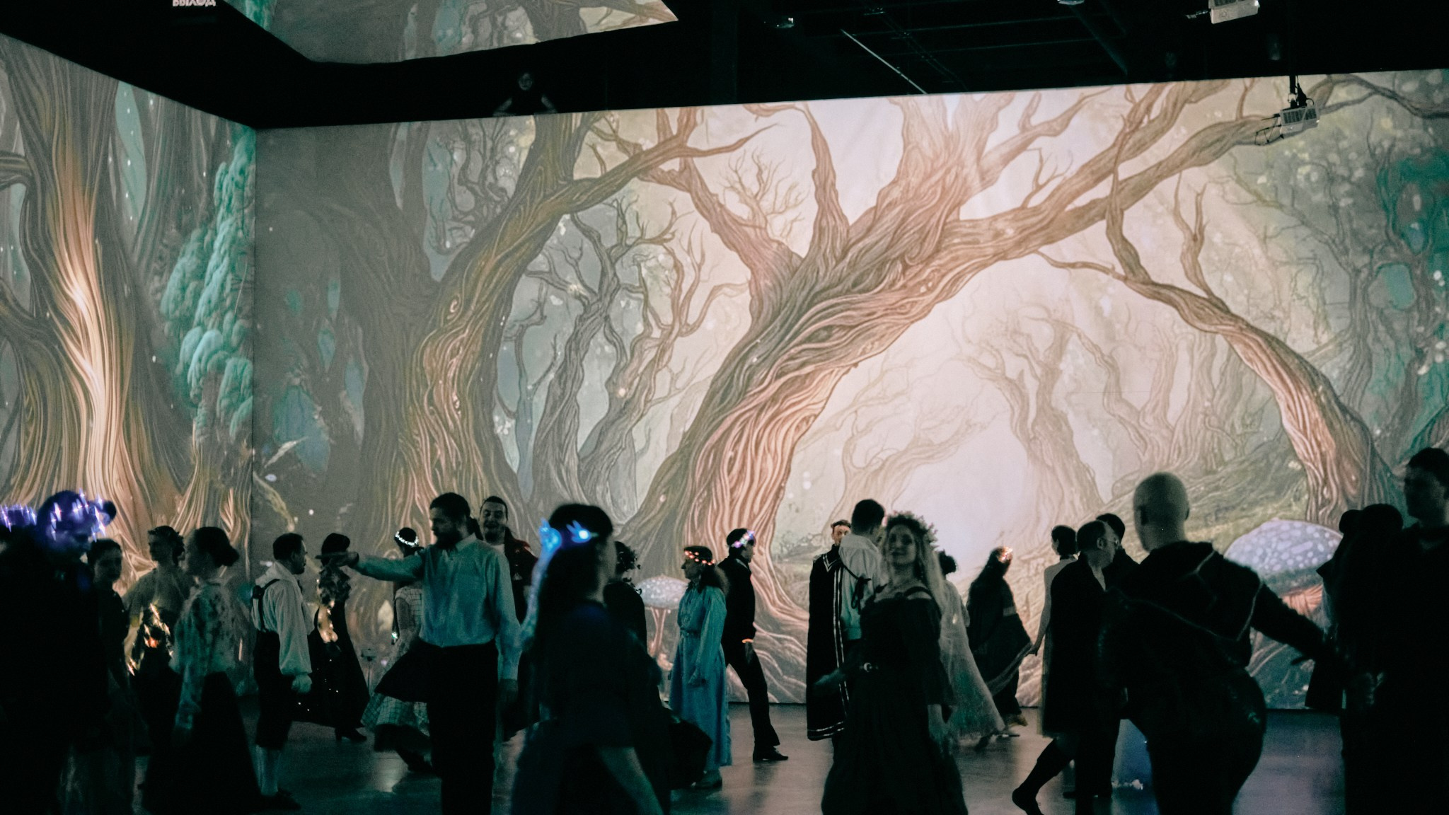 Ночь в холмах | Иммерсивный бал. Фотограф Аннё| Москва