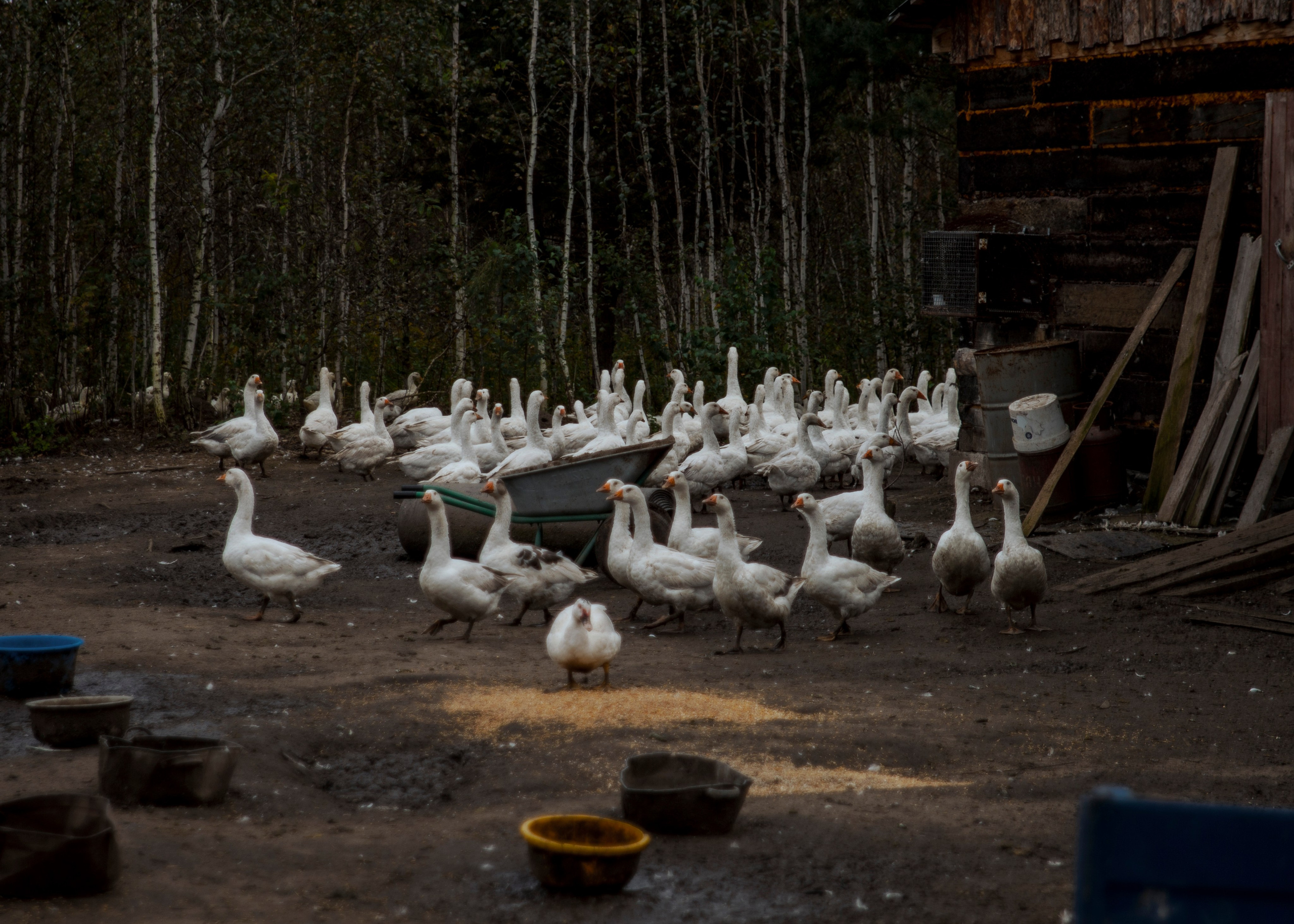 Backstage со съёмок фильма «Reverenсе». Портретный фотограф в Москве Дарья Цезария