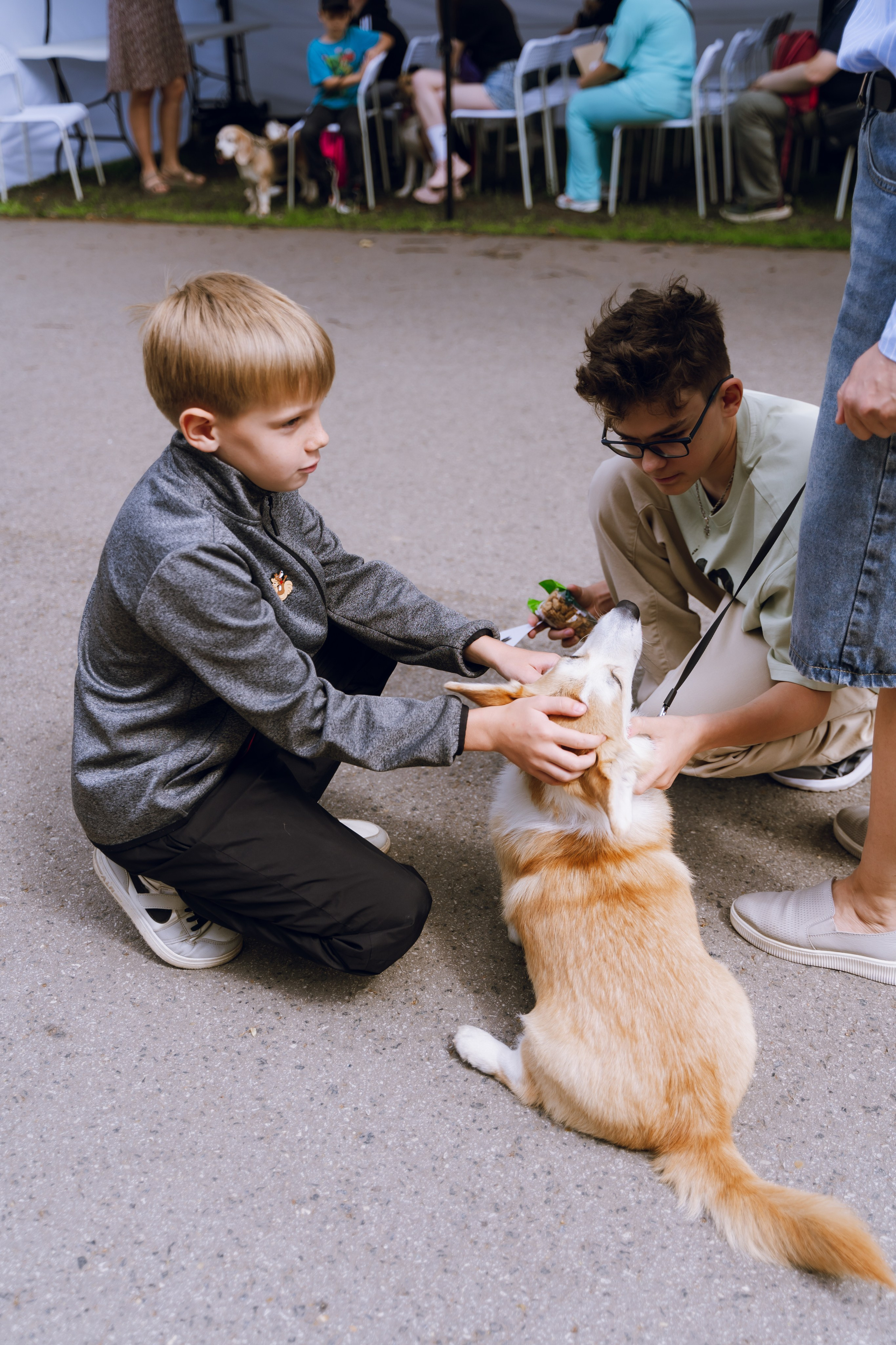 Площадка фестиваля «Мампус и его друзья» в Лесопарке 2025. Фотограф Надежда Погребняк | Рязань | Москва