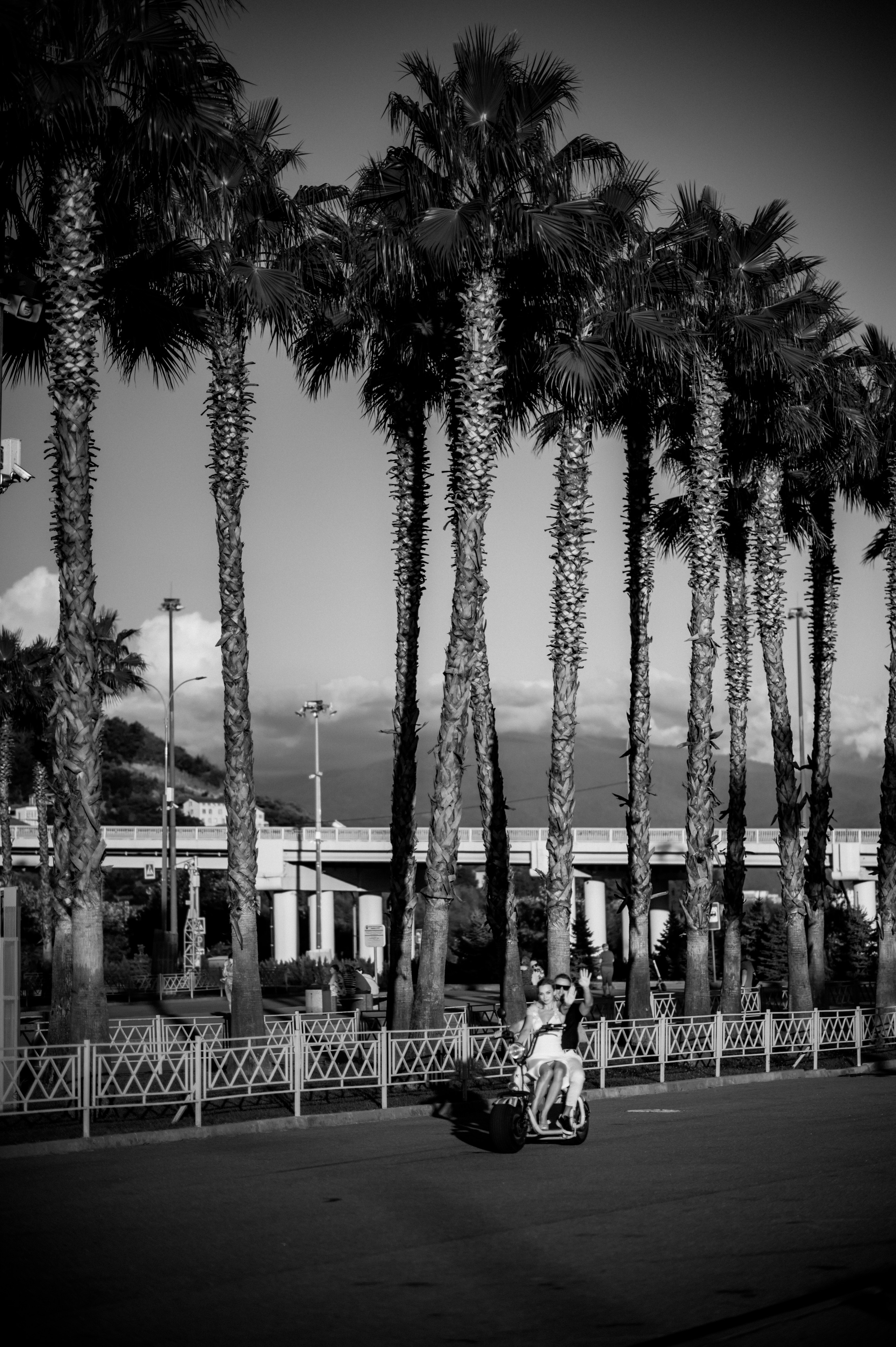 B & W. Свадебный и семейный фотограф в Москве и Европе Евгения Амелина