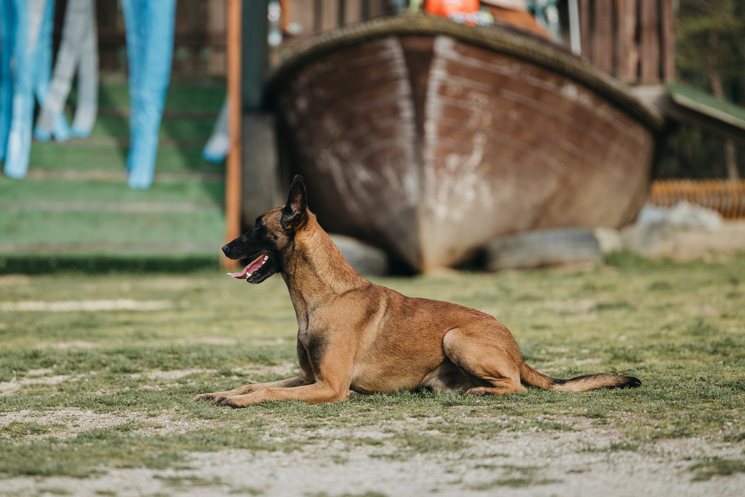 Геленджик Мондьоринг. Фотограф-анималист Анна Маринич