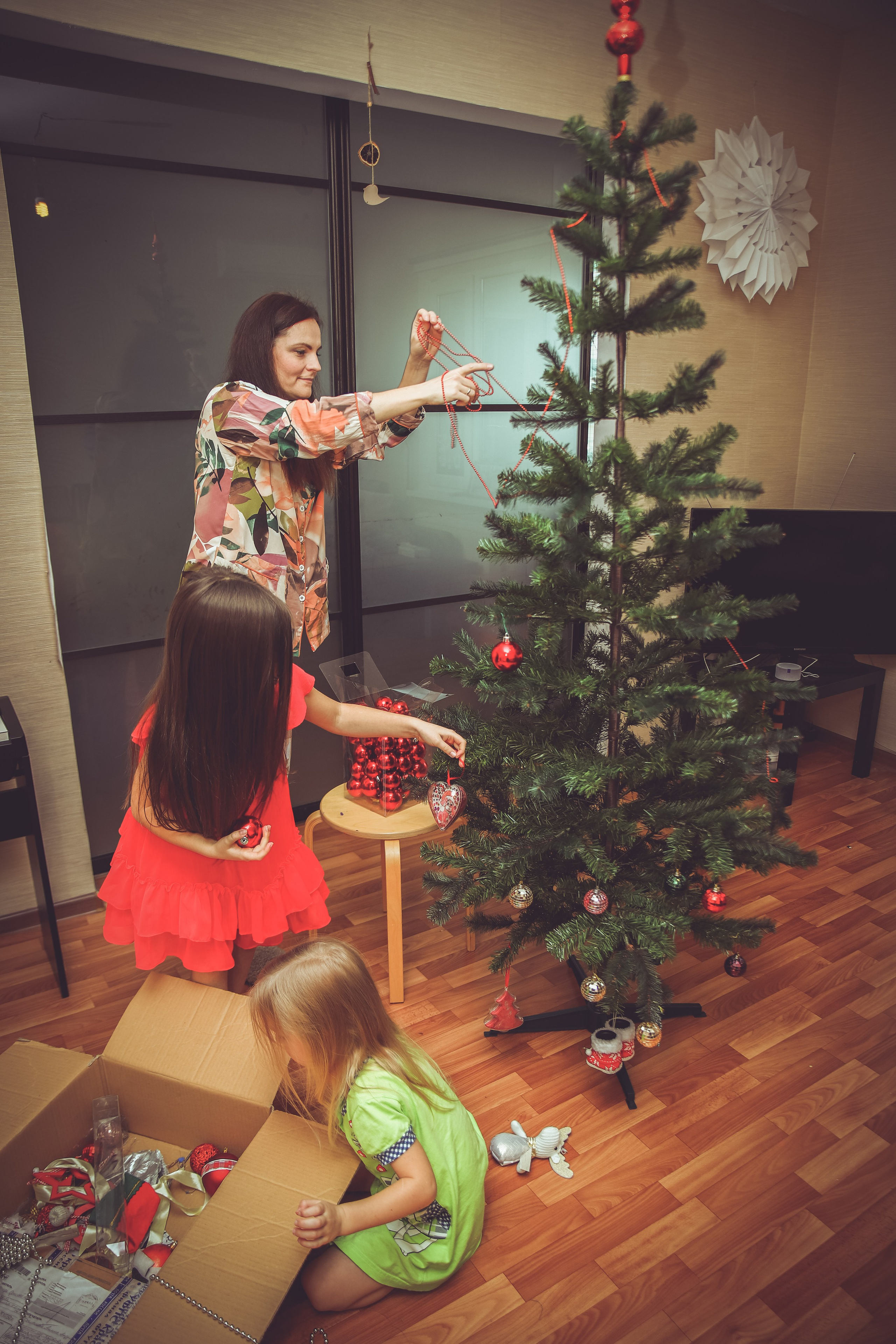 ДОМАШНИЕ. Самый Добрый Фотограф Краснодара