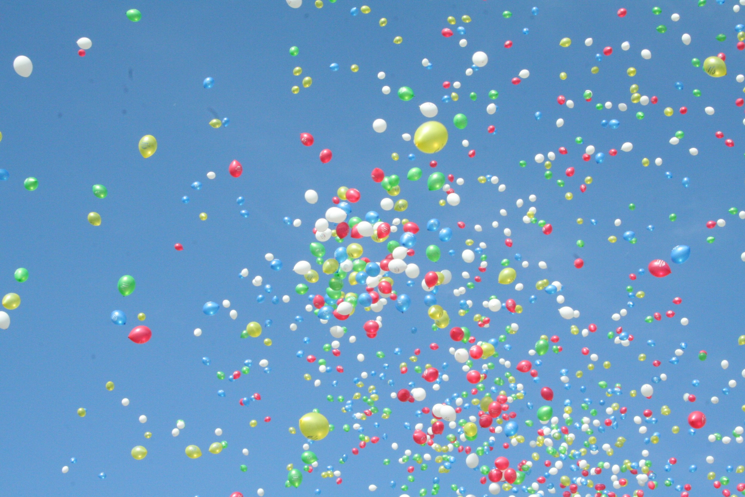 Автор: Наталья Чикина