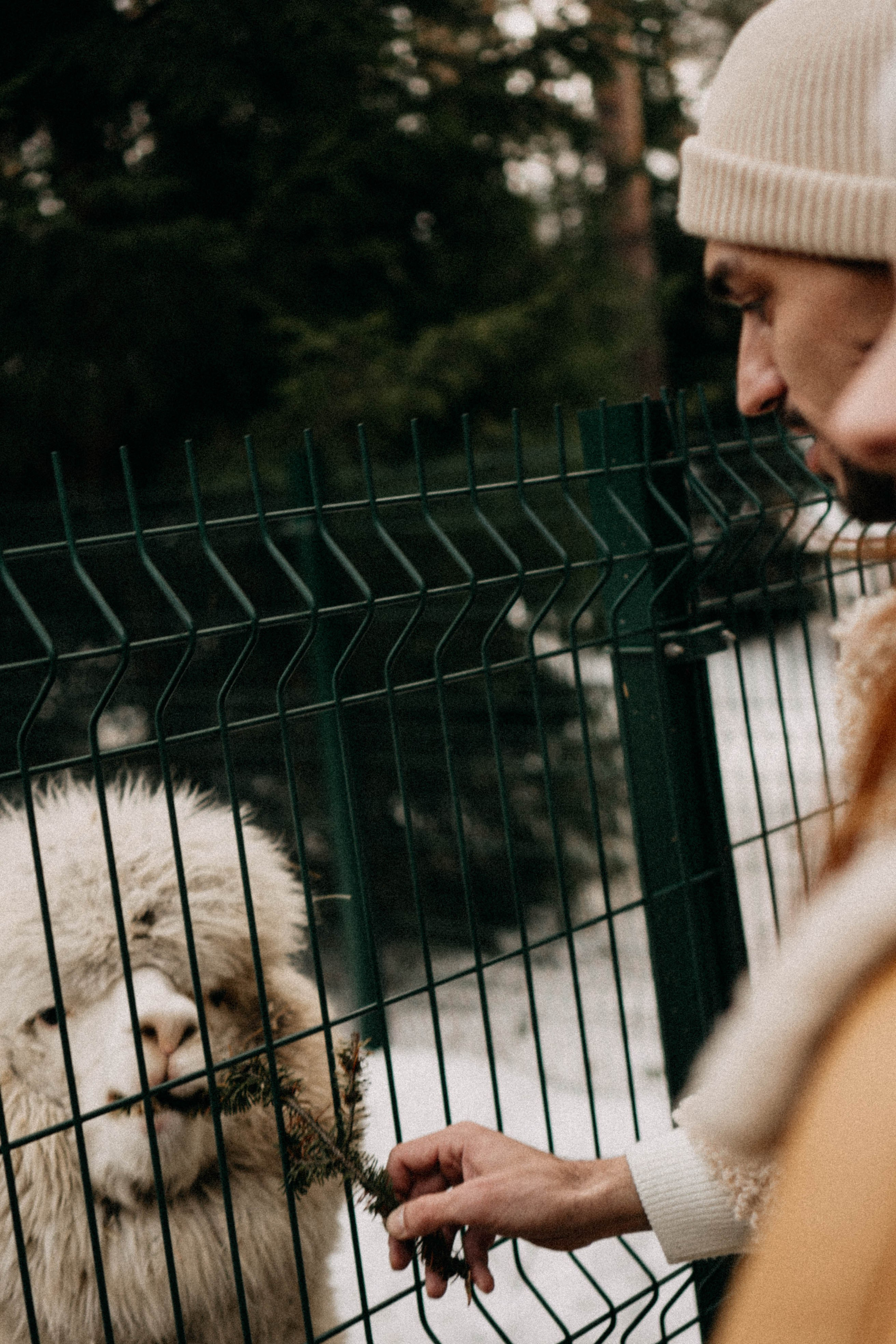 Каток. Профессиональный фотограф, Санкт-Петербург — Виктория Богомолова