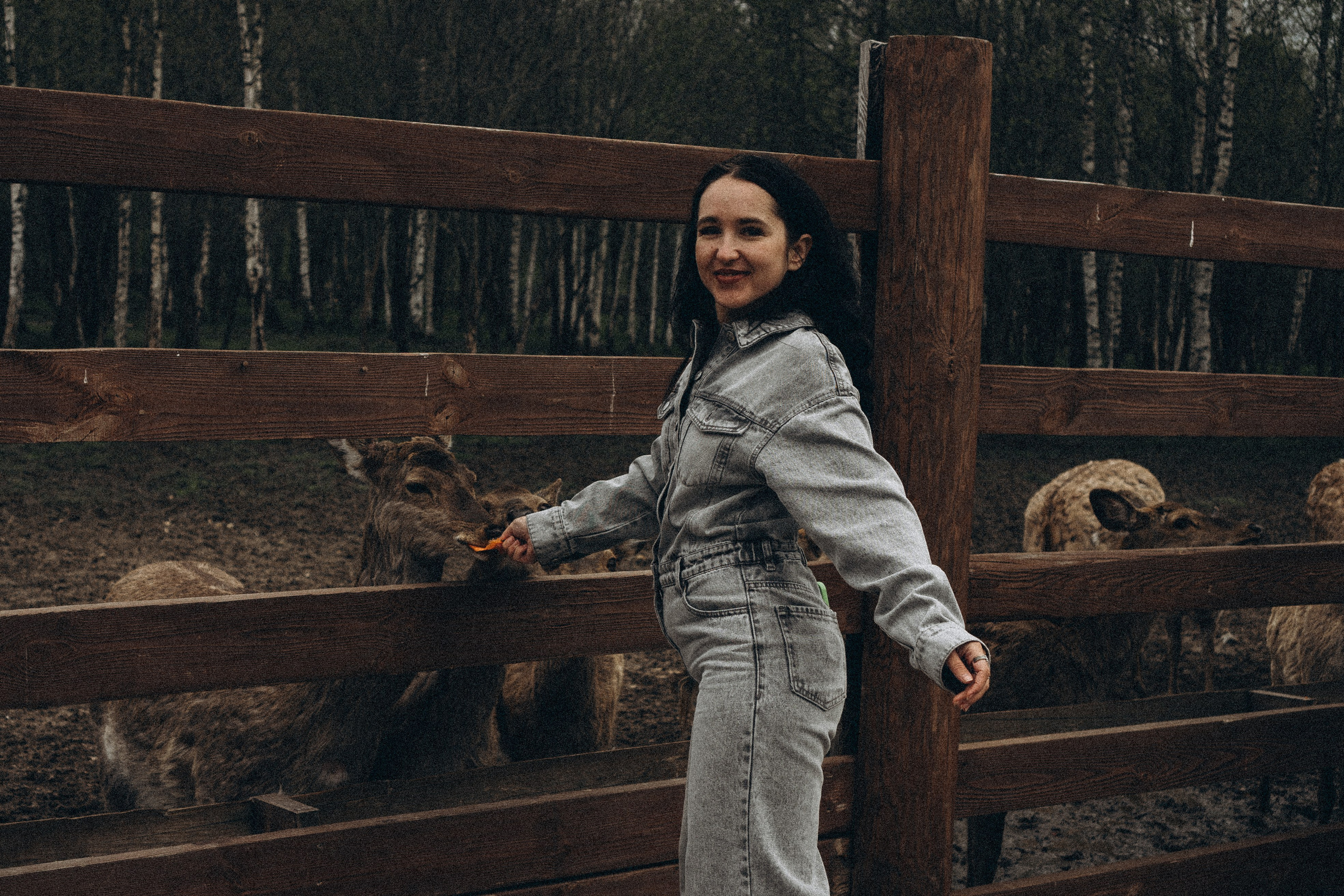 ОЛЕНЬЯ ФЕРМА В ТВЕРИ. Профессиональный фотограф, Санкт-Петербург — Виктория Богомолова