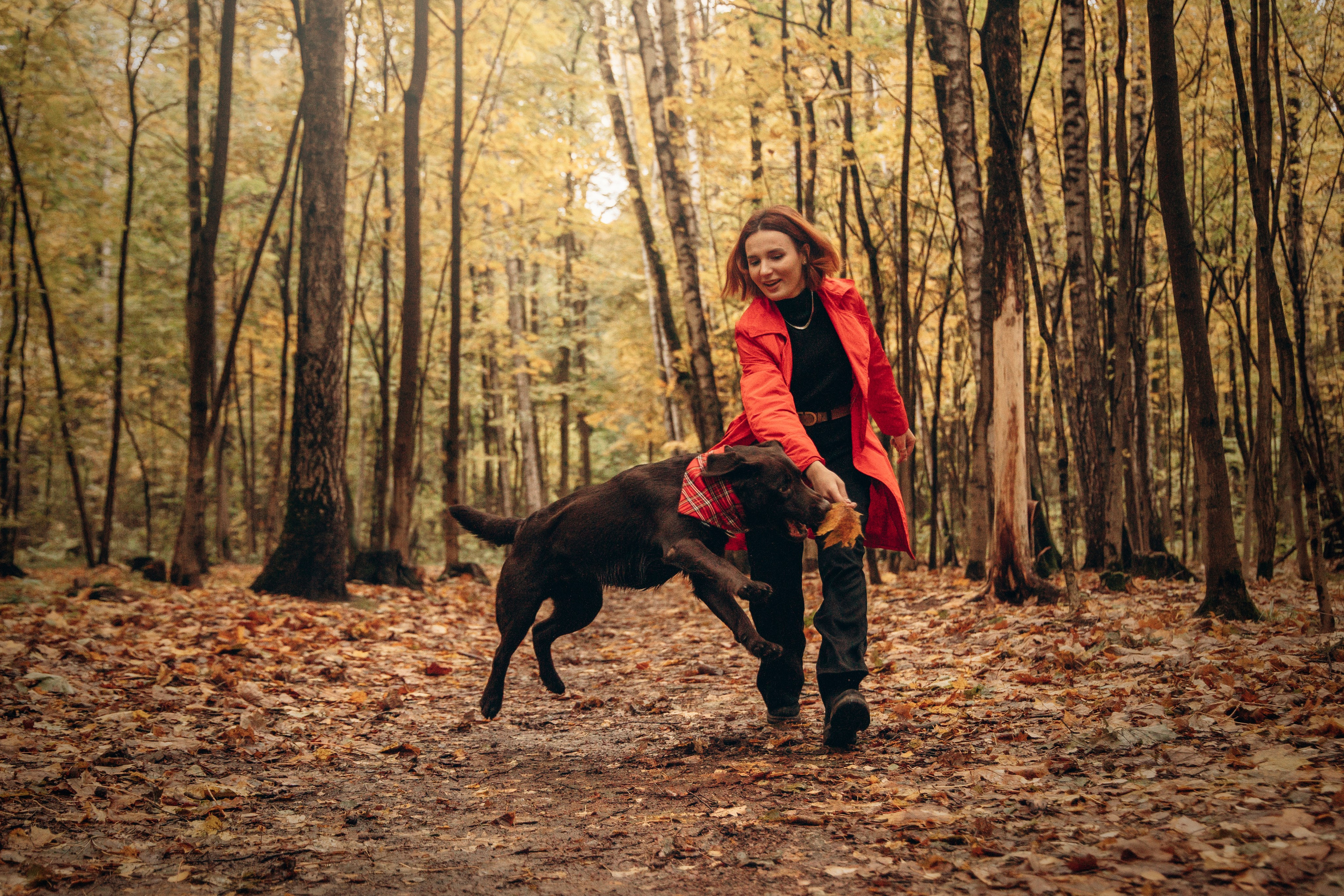 Арина и Сэмми. Фотограф — Анималист | Санкт-Петербург