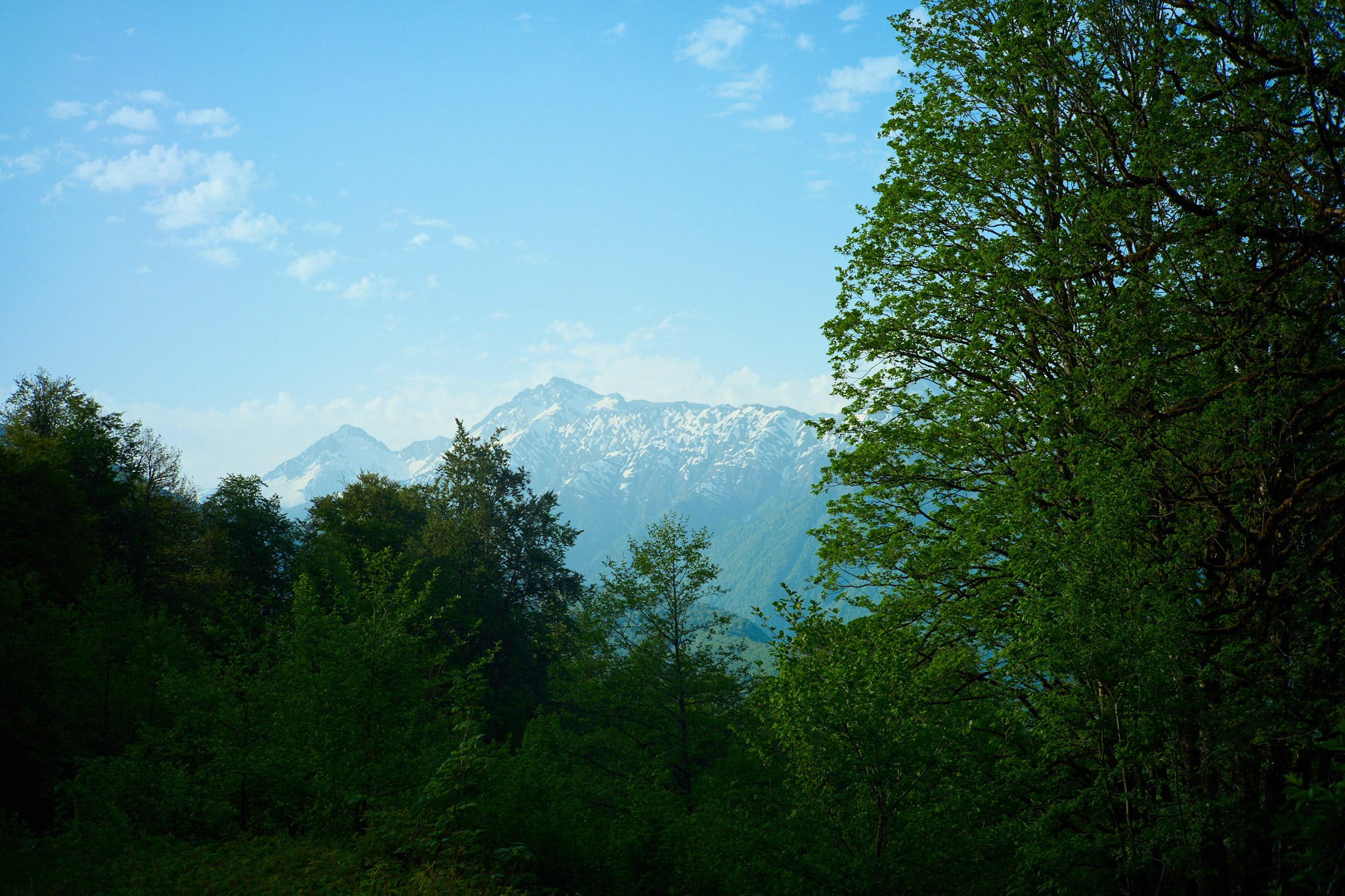 Красная Поляна, апрель 2024. Фотограф, Римма Невинская