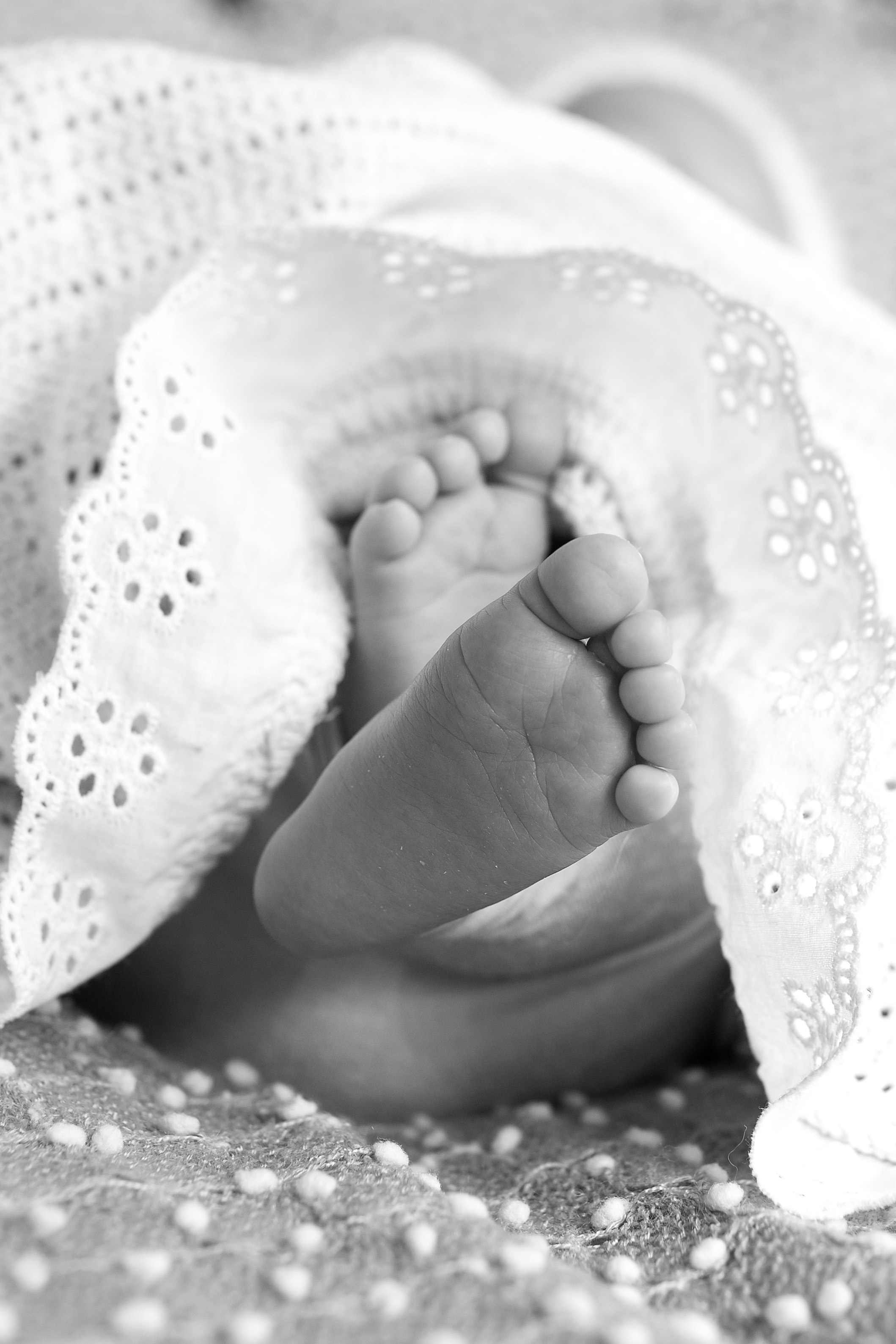 Ася. Ольга SHREIBICUS — Фотография беременности и новорожденных Оренбург