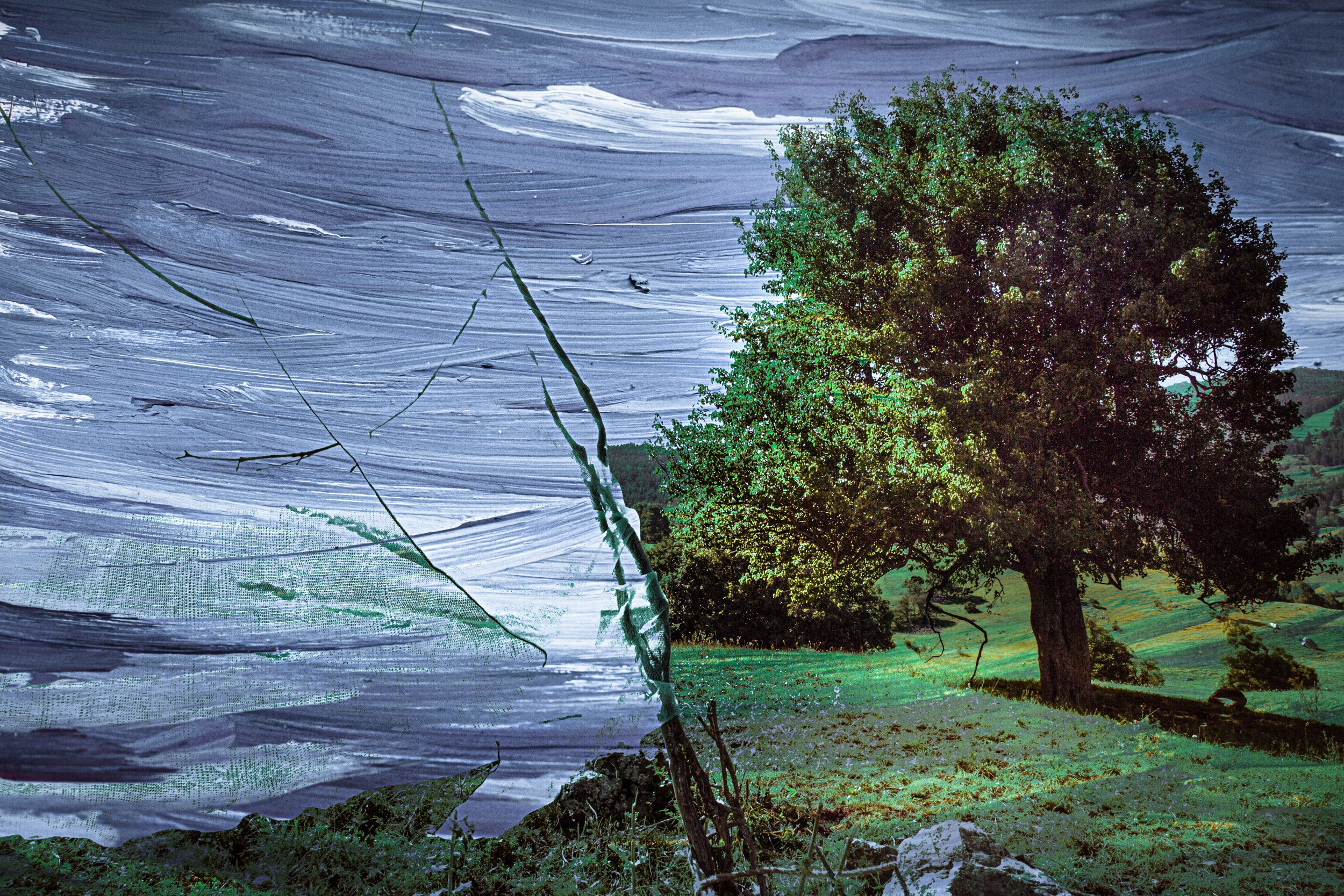 Арт & поэзия. Татьяна Корчагина. Фотограф, художник. Обучение фотографии