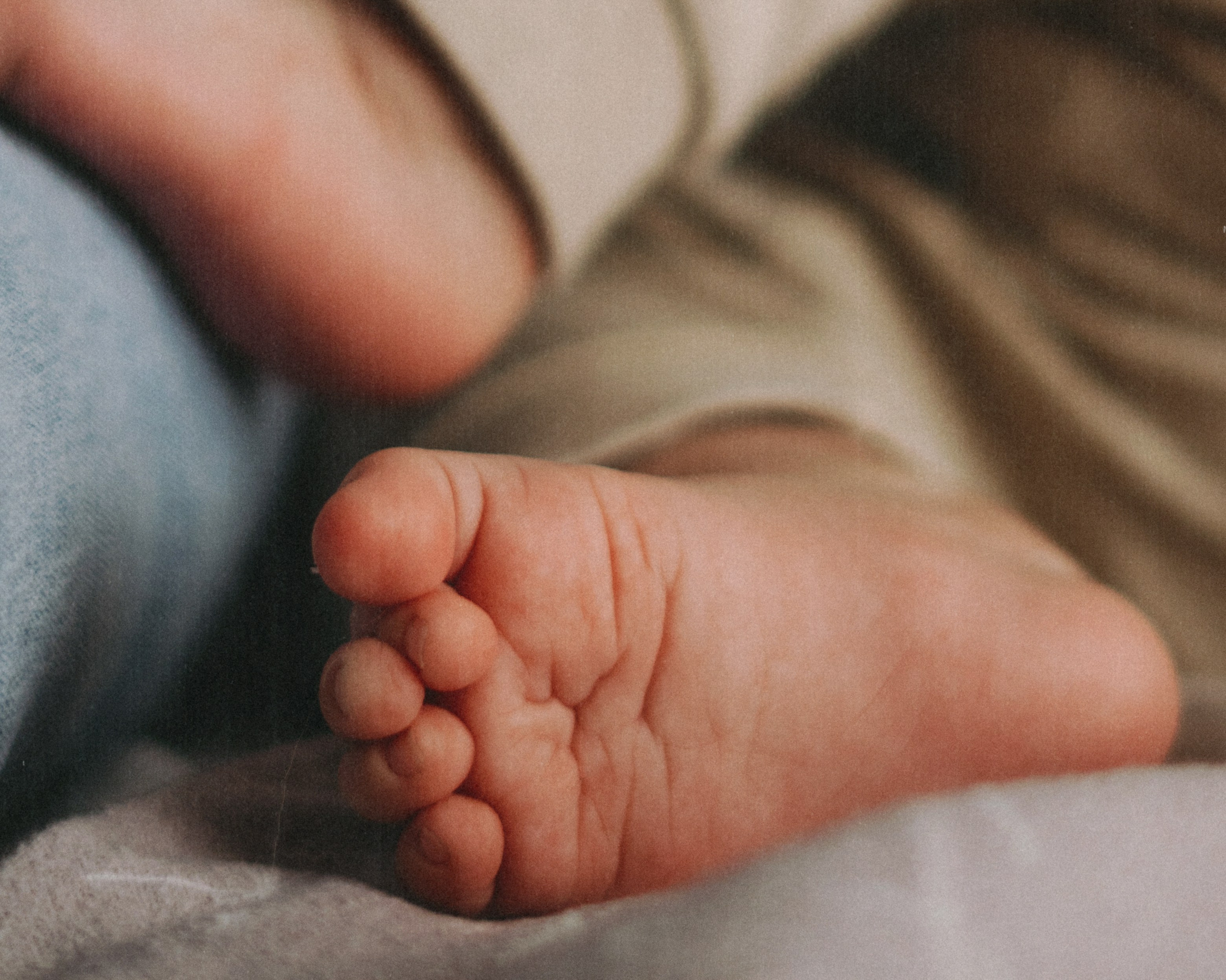 Fedya. SHILOVA PHOTO. Шилова Екатерина. Фотограф. Москва