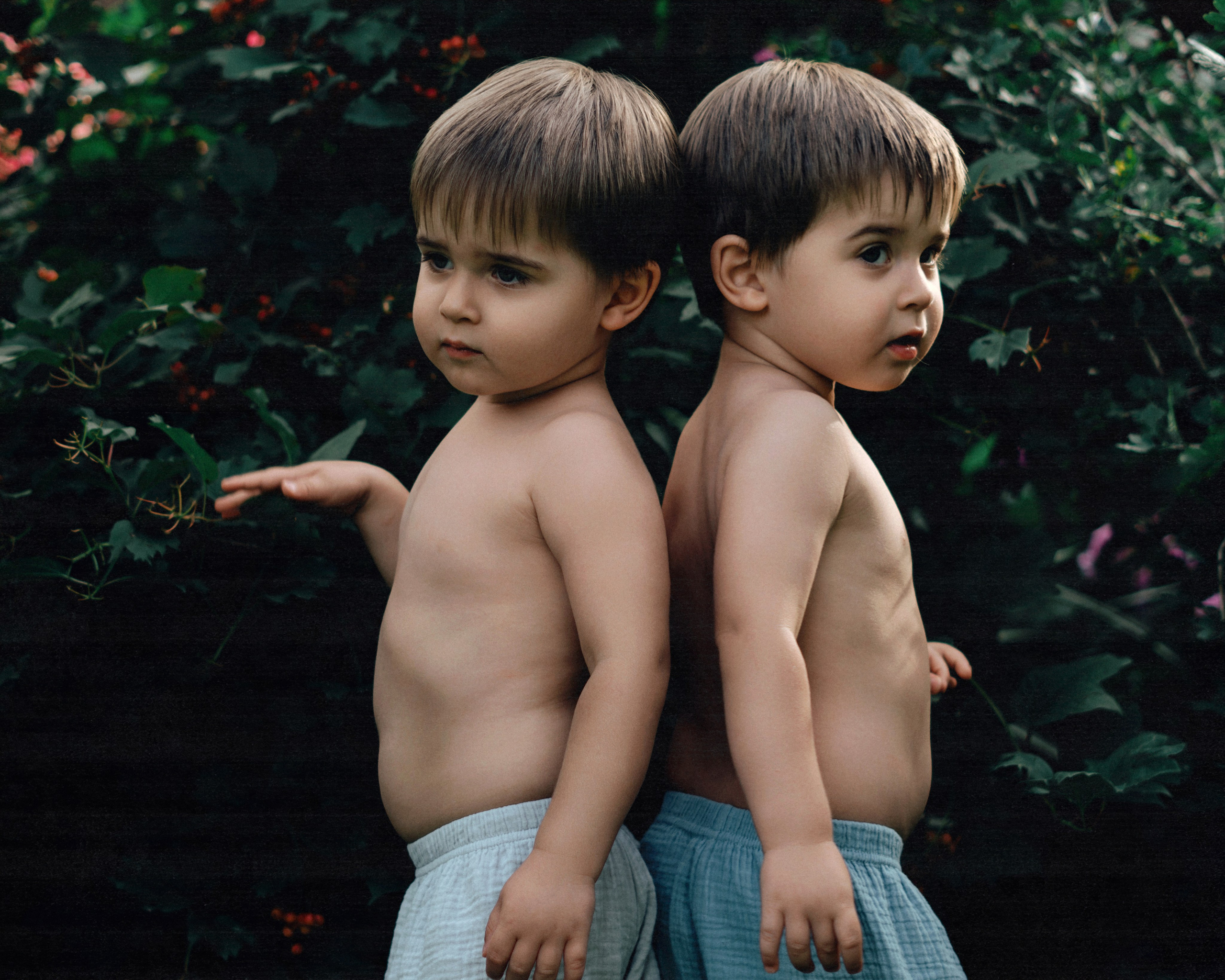 Семья. SHILOVA PHOTO. Шилова Екатерина. Фотограф. Москва