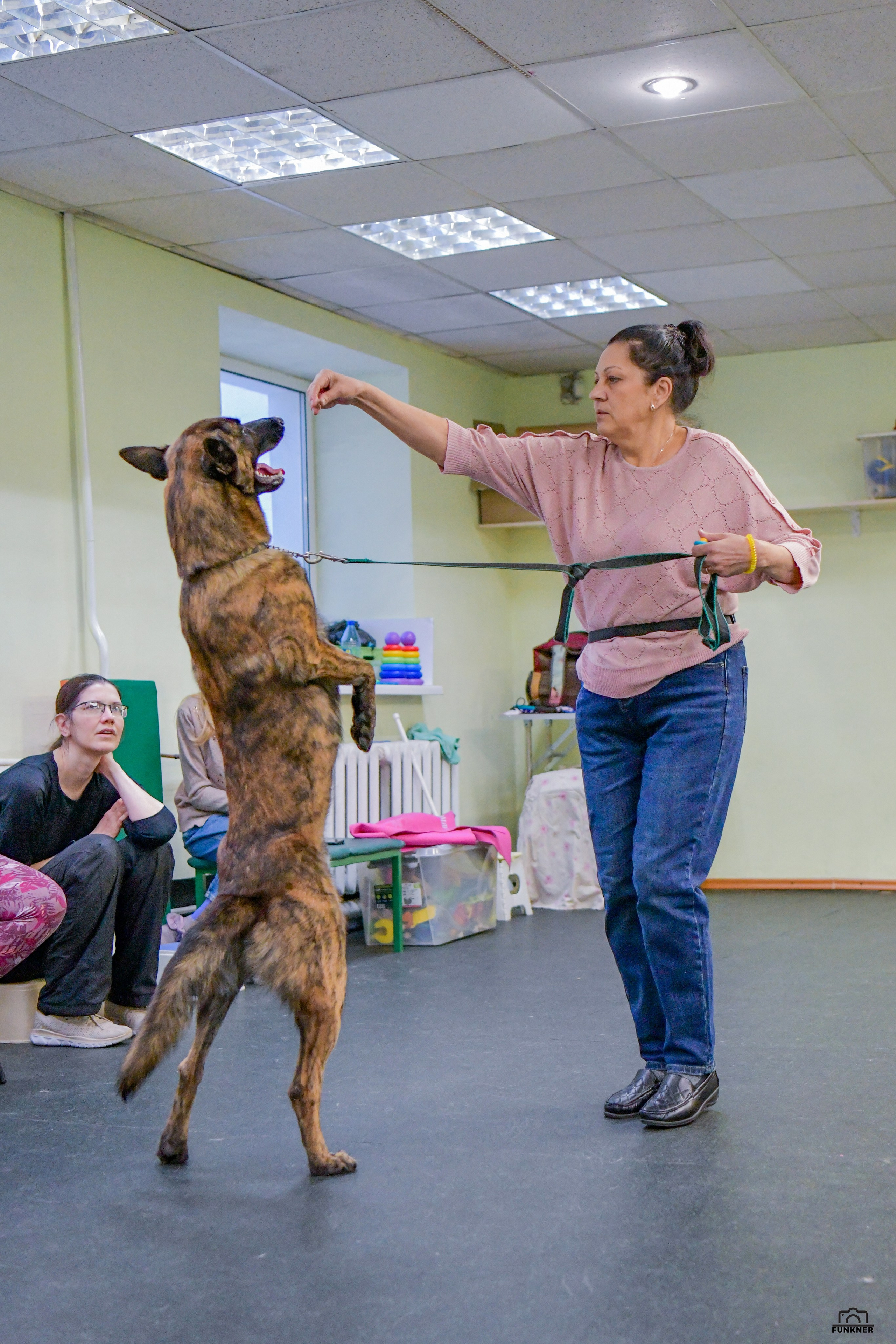 Кинологический клуб «Бодрый хвост». Свой взгляд через объектив