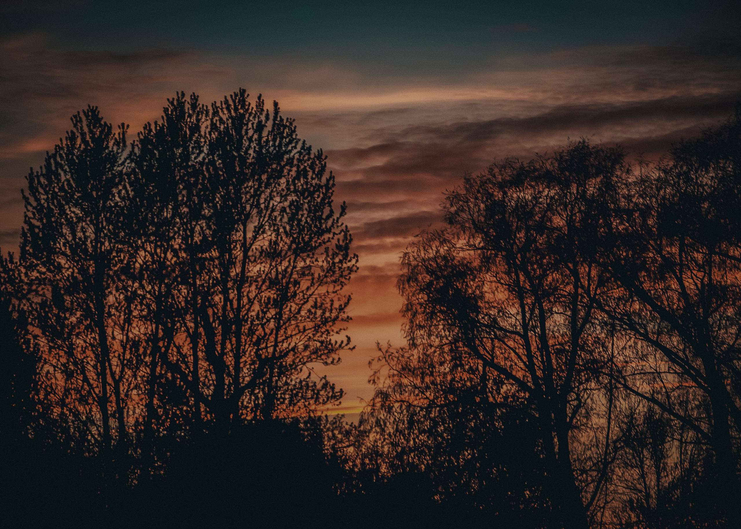 Выборг. Портретный фотограф DanilNabody